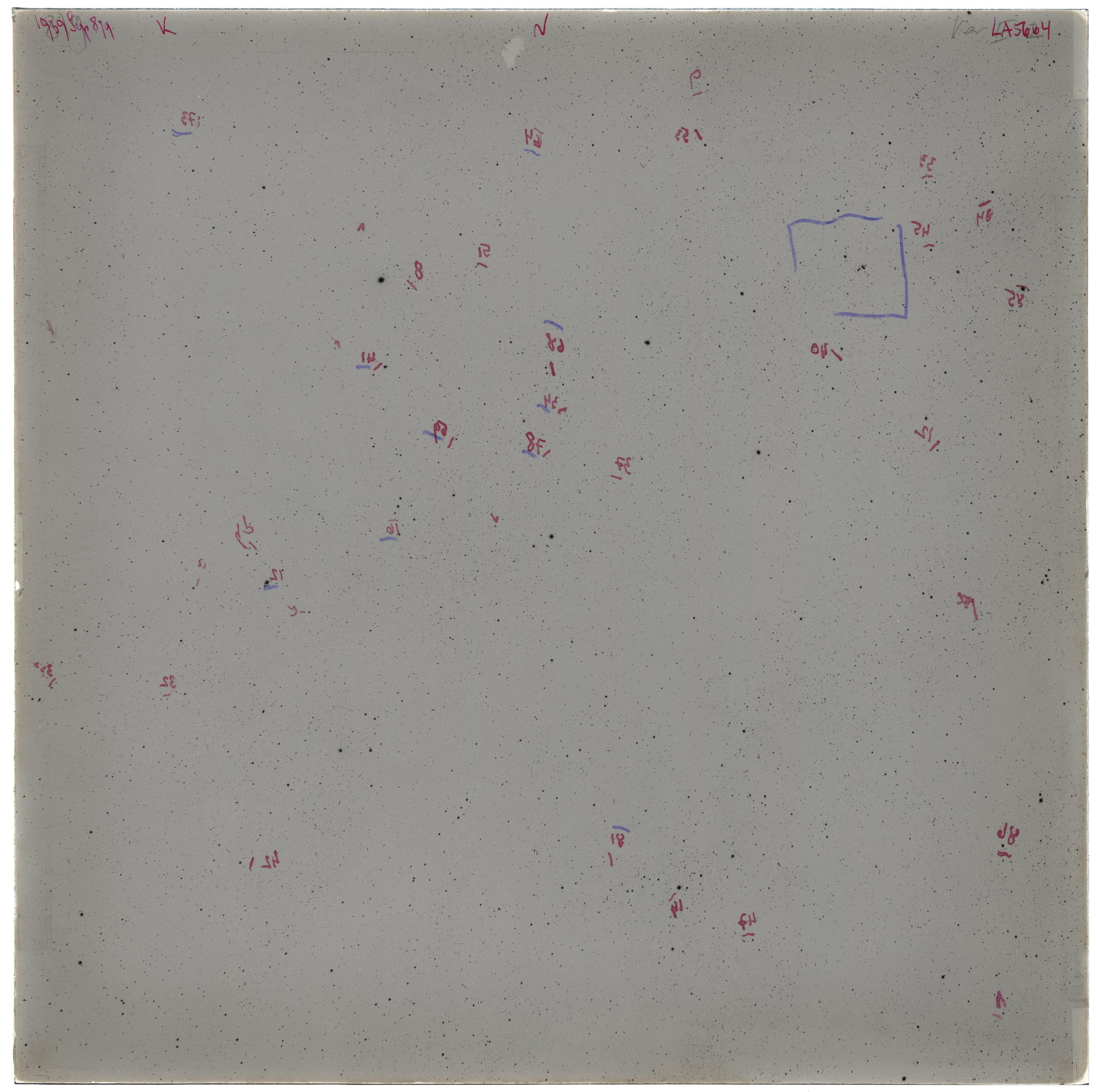 Scan LA05664
