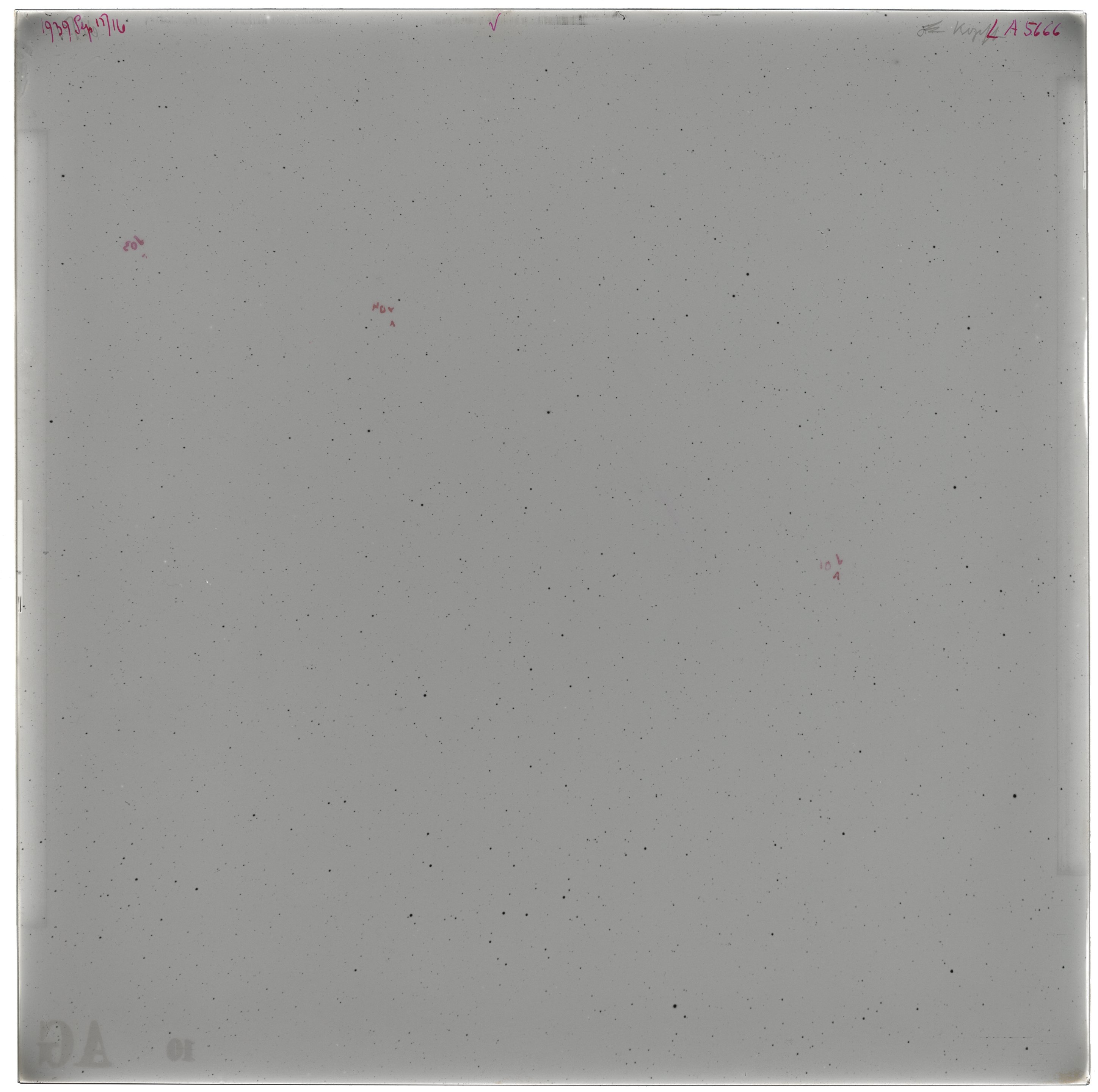 Scan LA05666