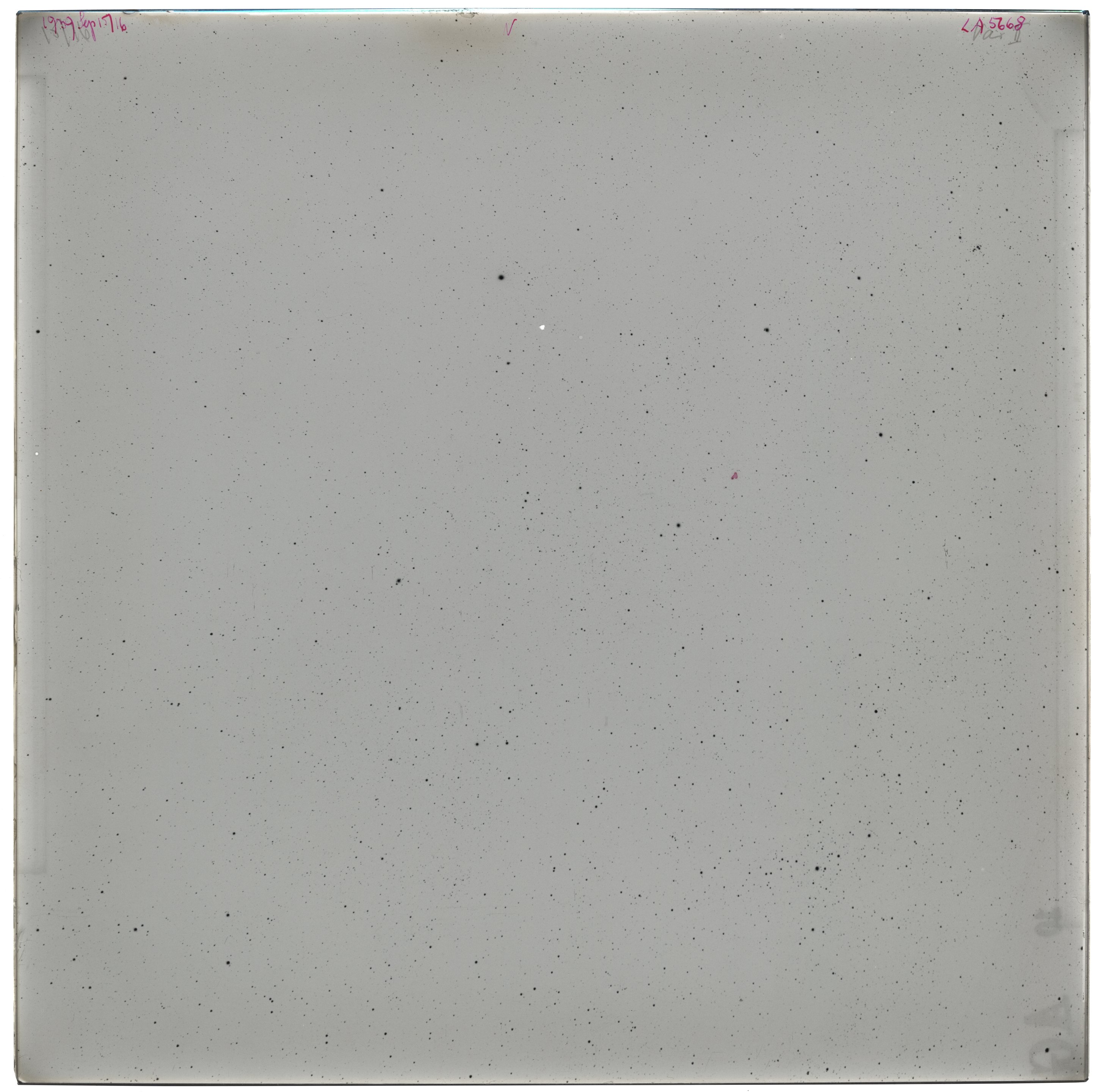 Scan LA05668