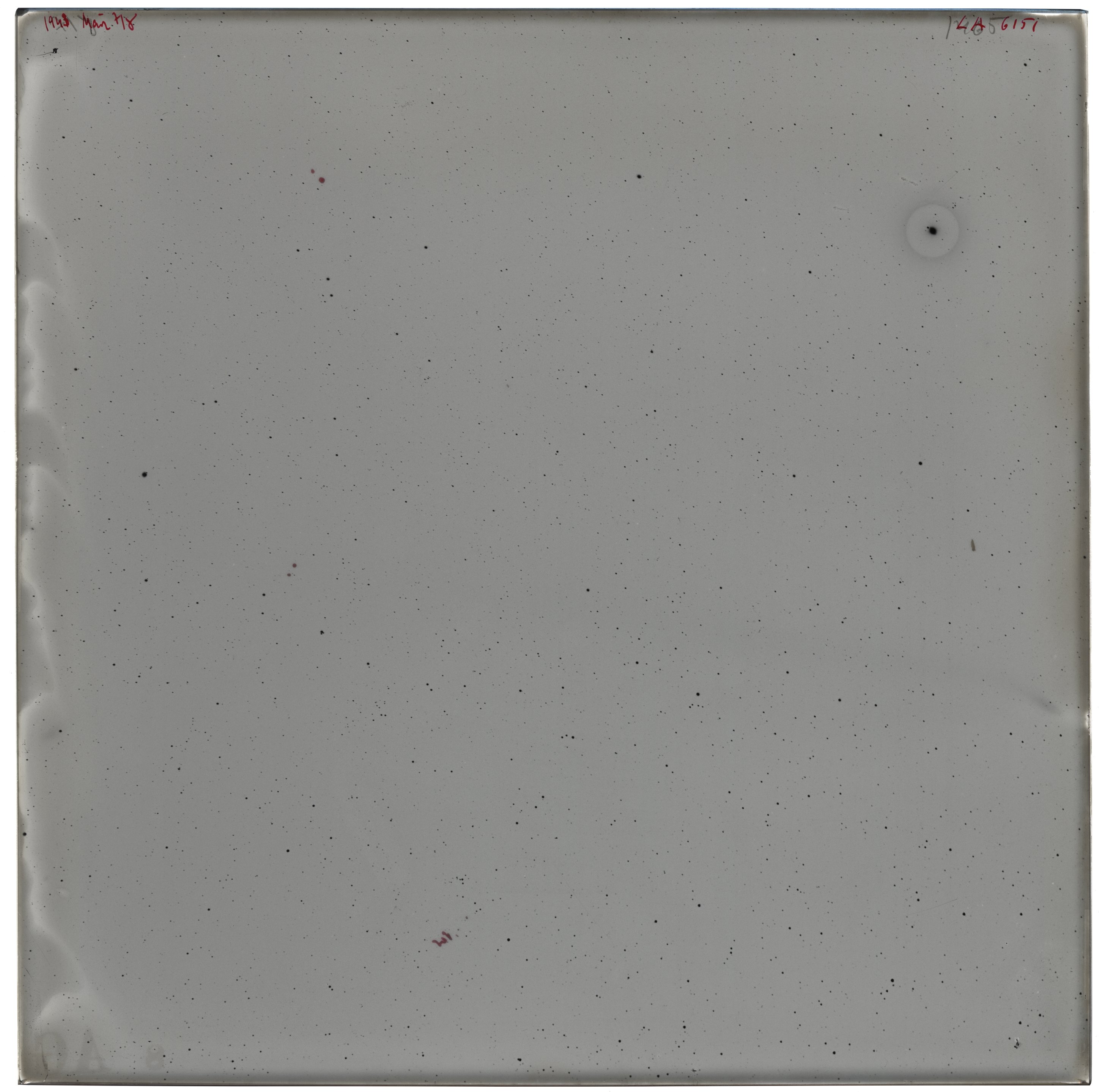 Scan LA06151