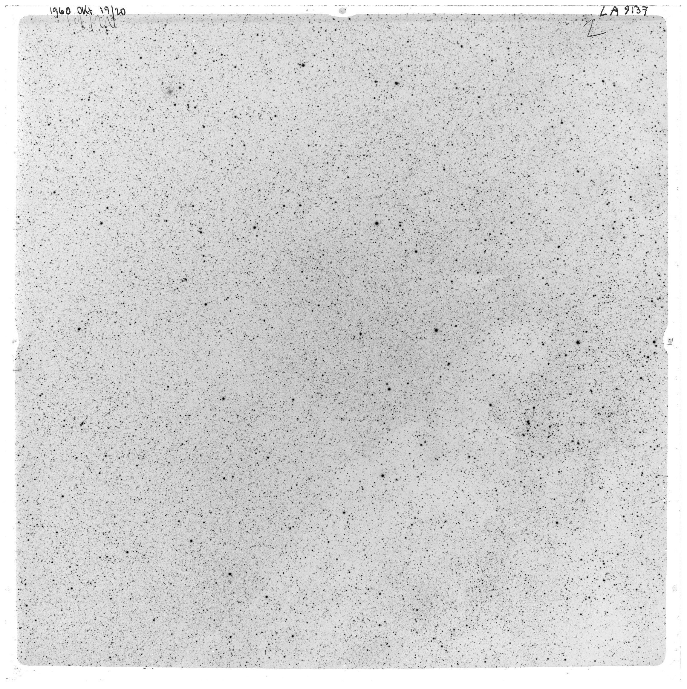 Scan LA09137