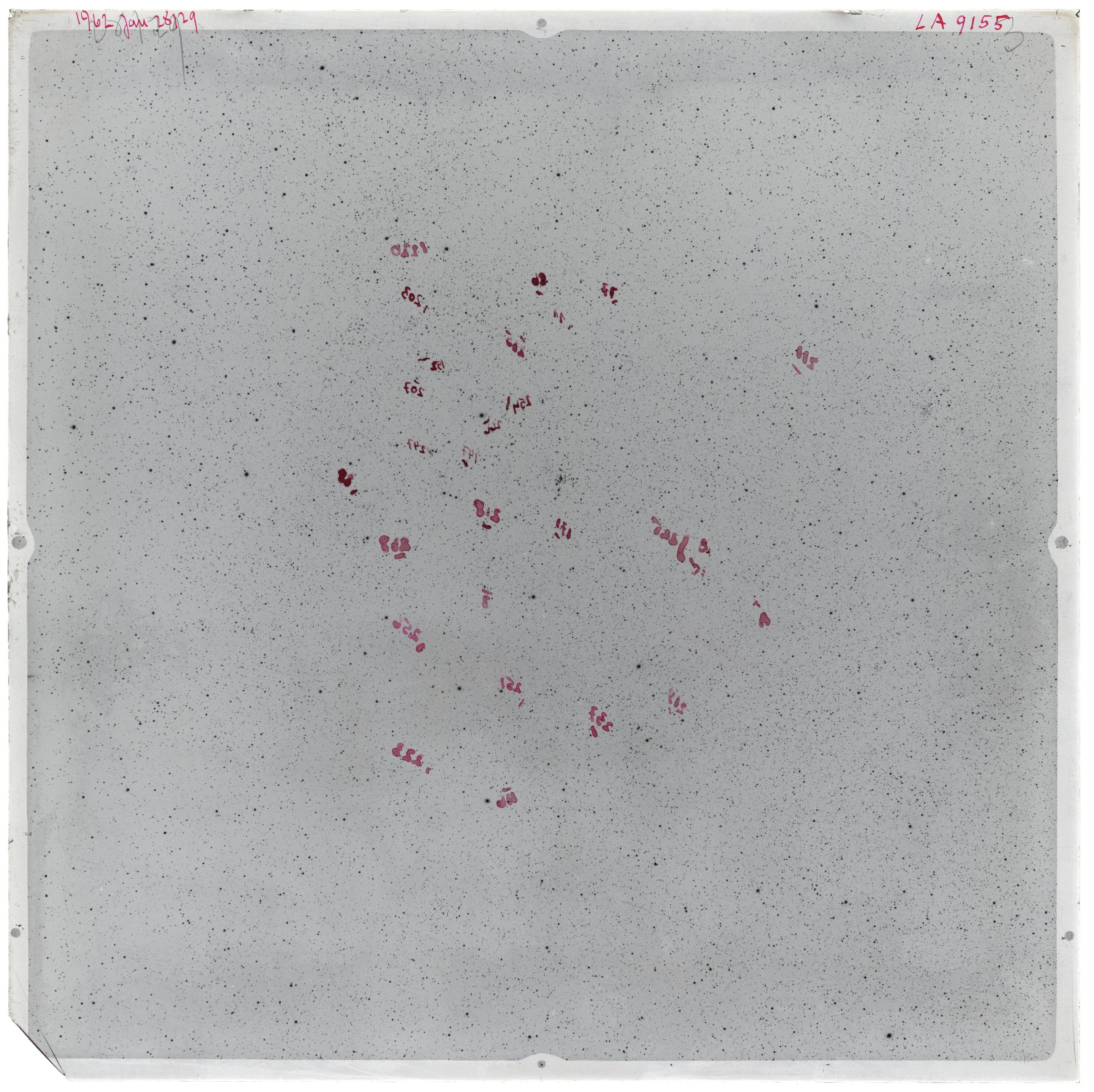 Scan LA09155