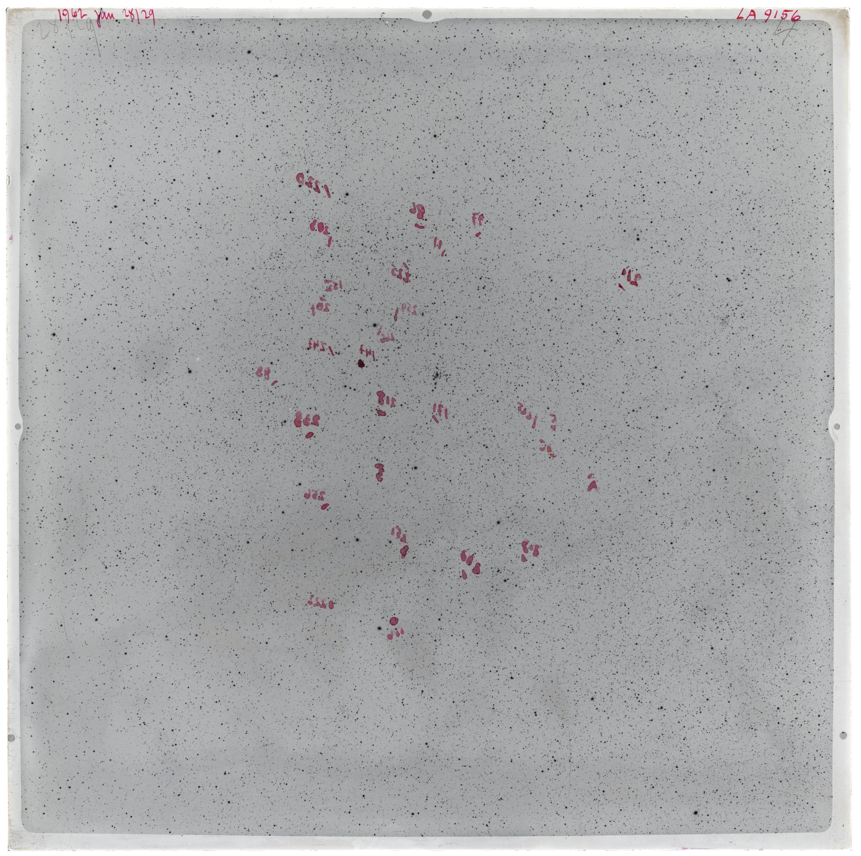 Scan LA09156