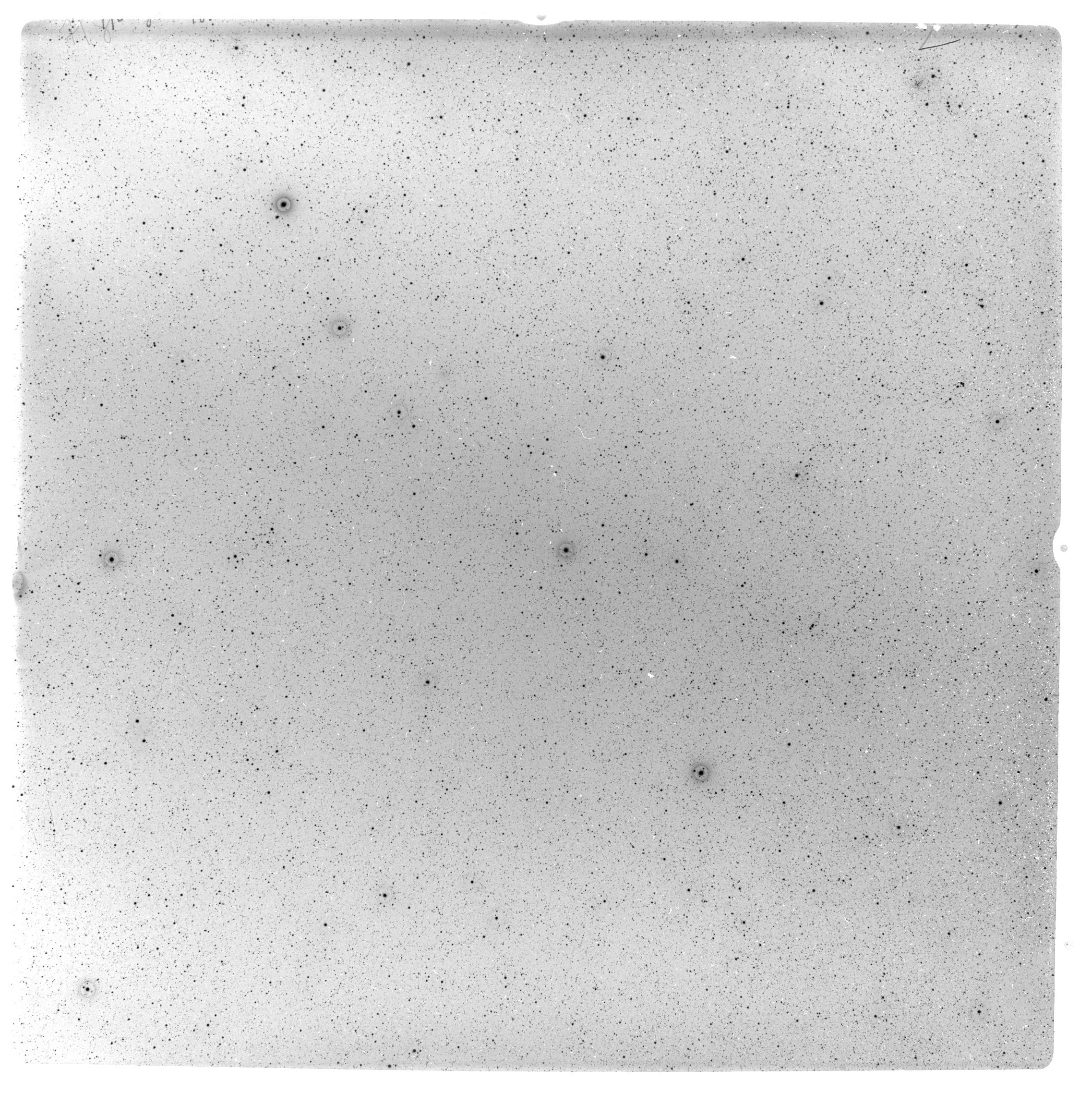 Scan LA09184