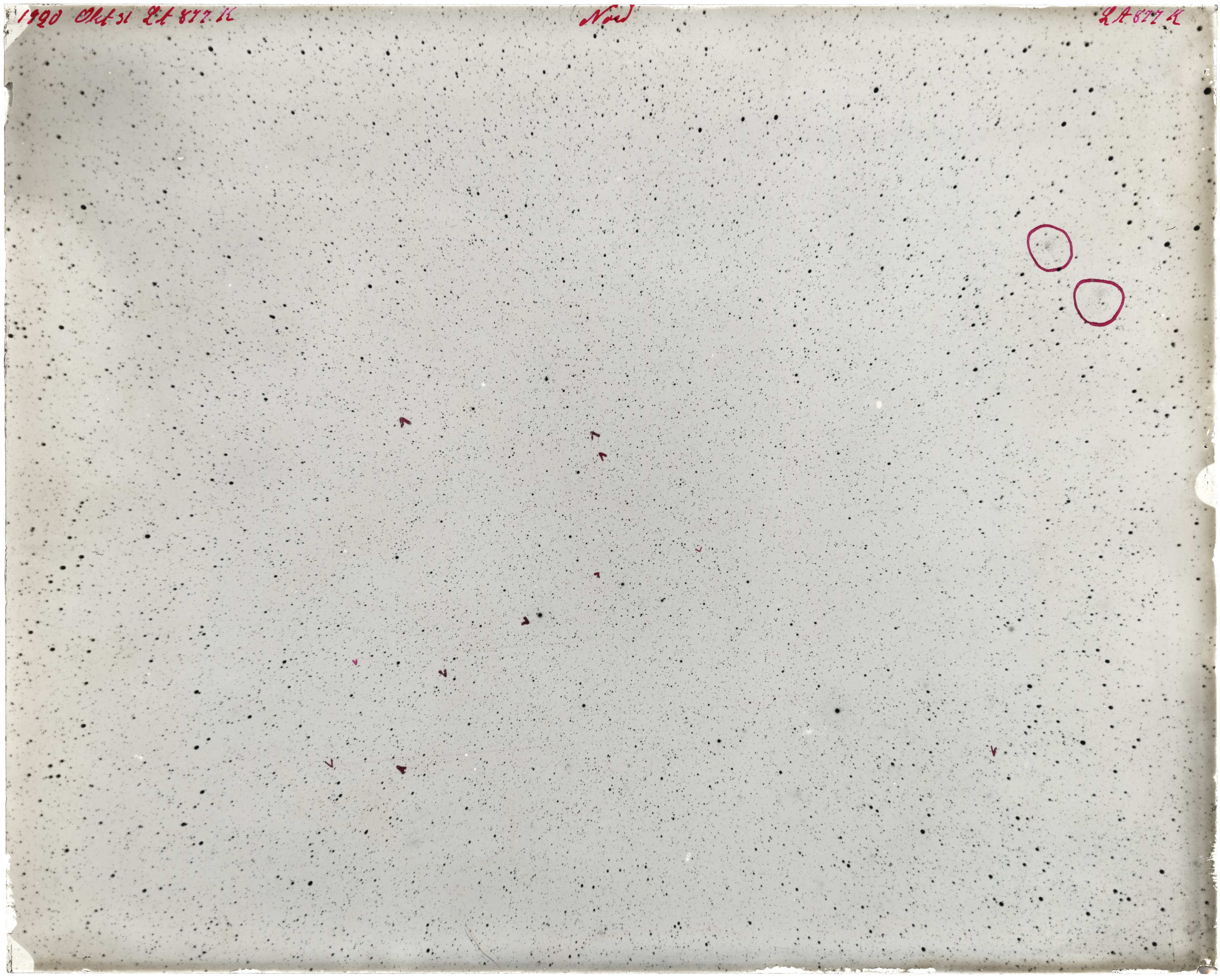 Scan LA00877