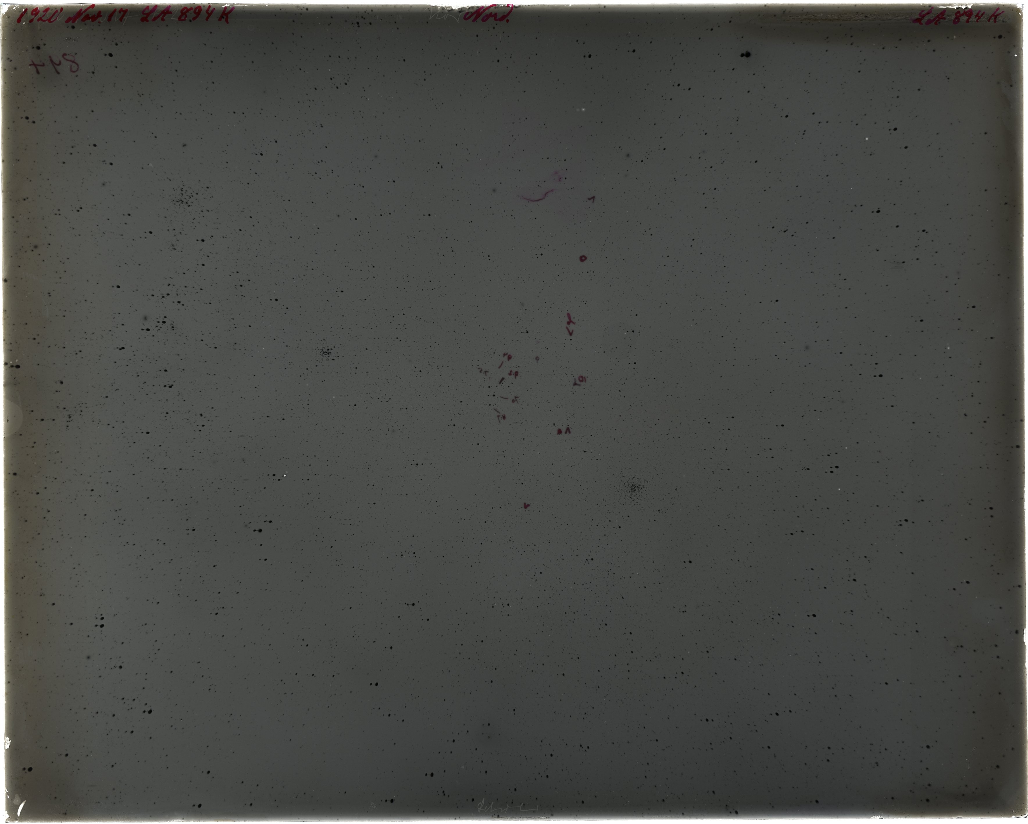 Scan LA00894