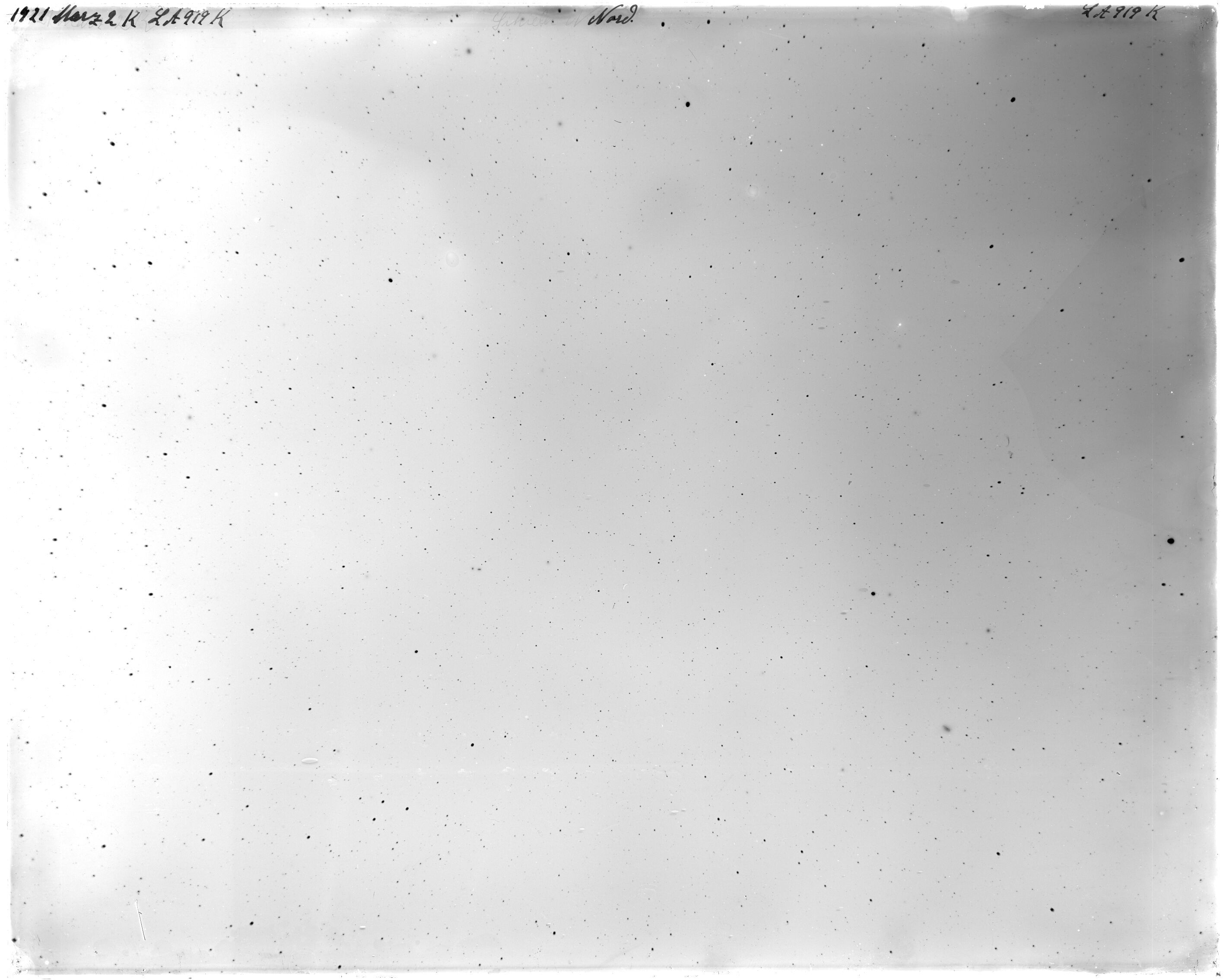 Scan LA00919
