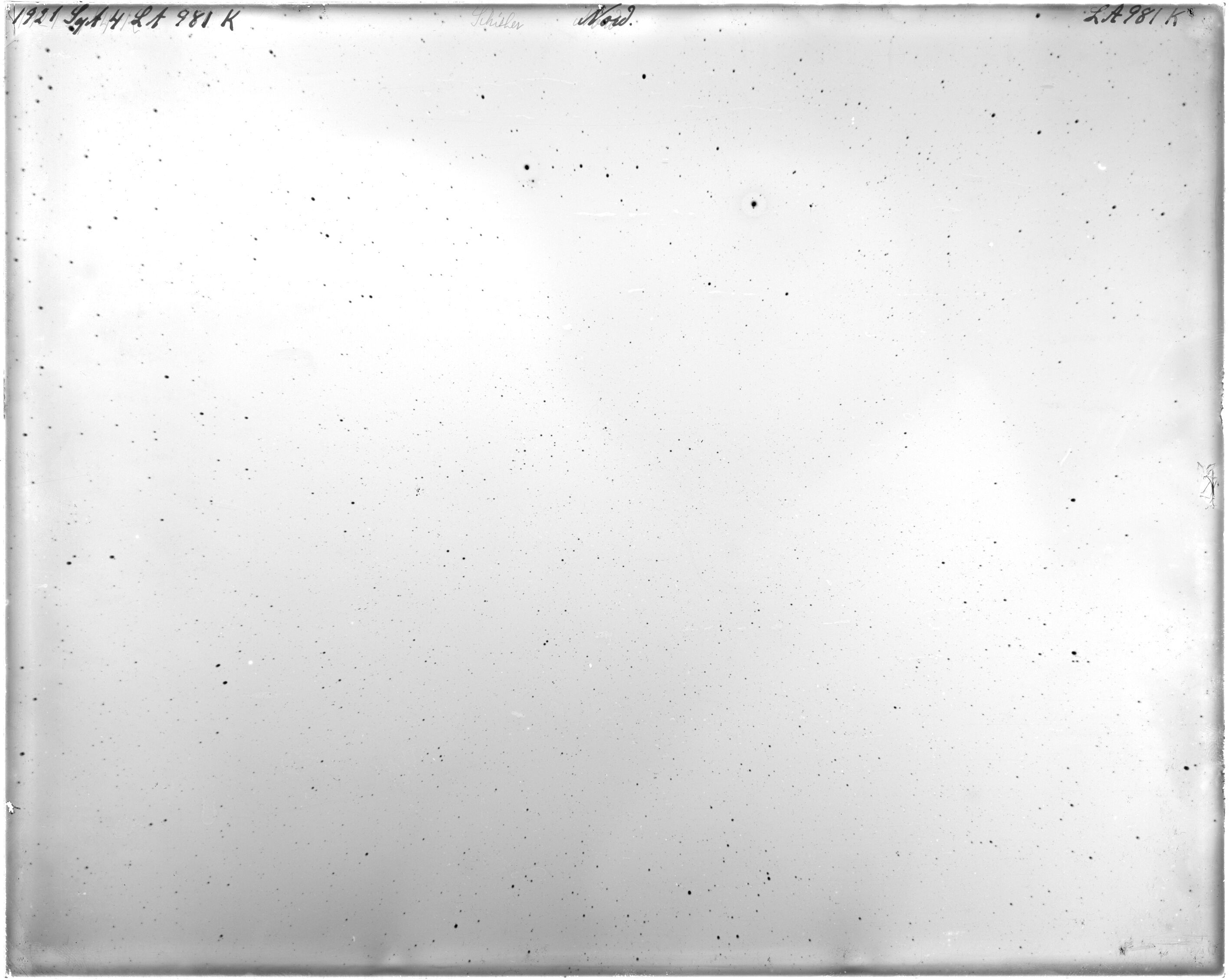 Scan LA00981