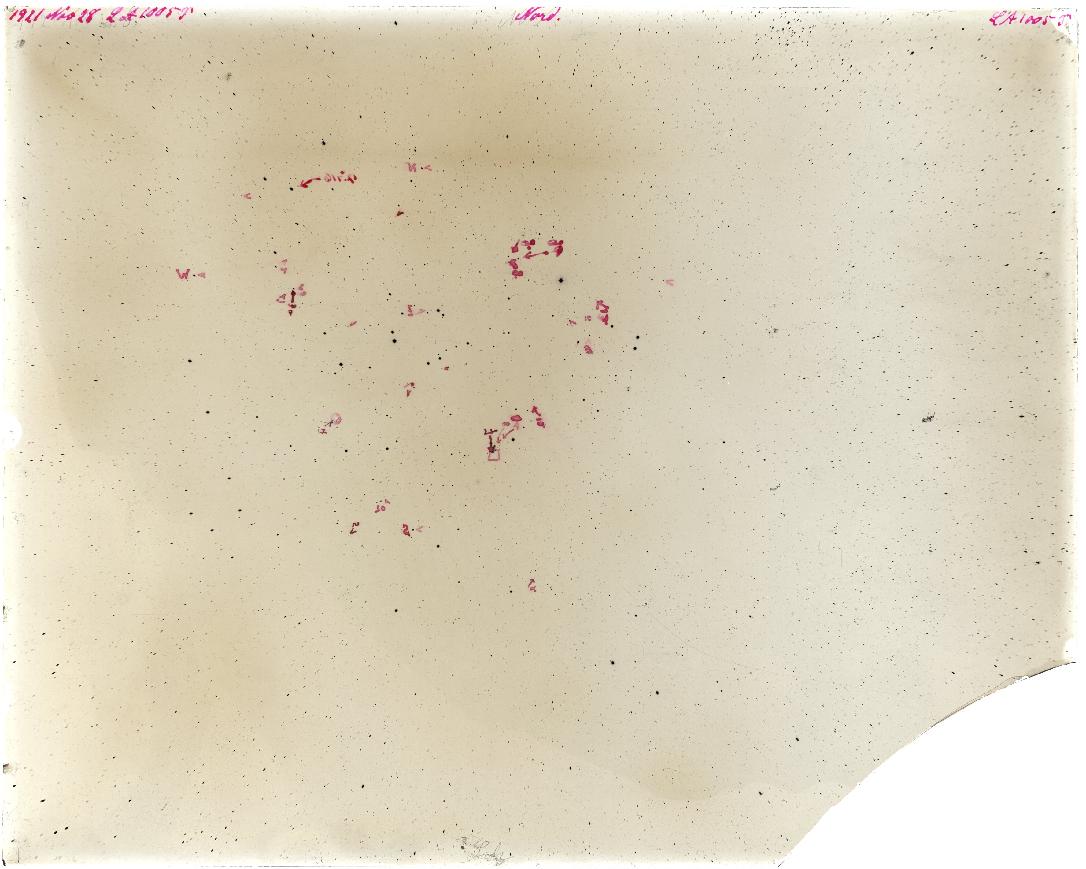 Scan LA01005