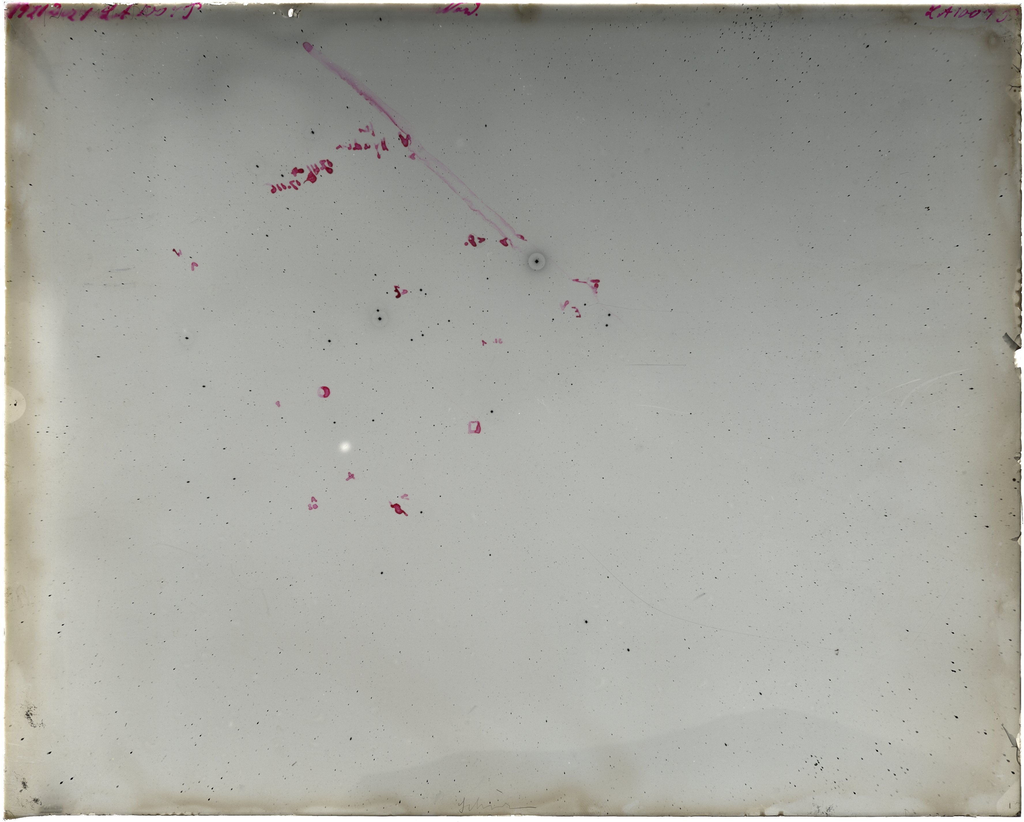 Scan LA01007