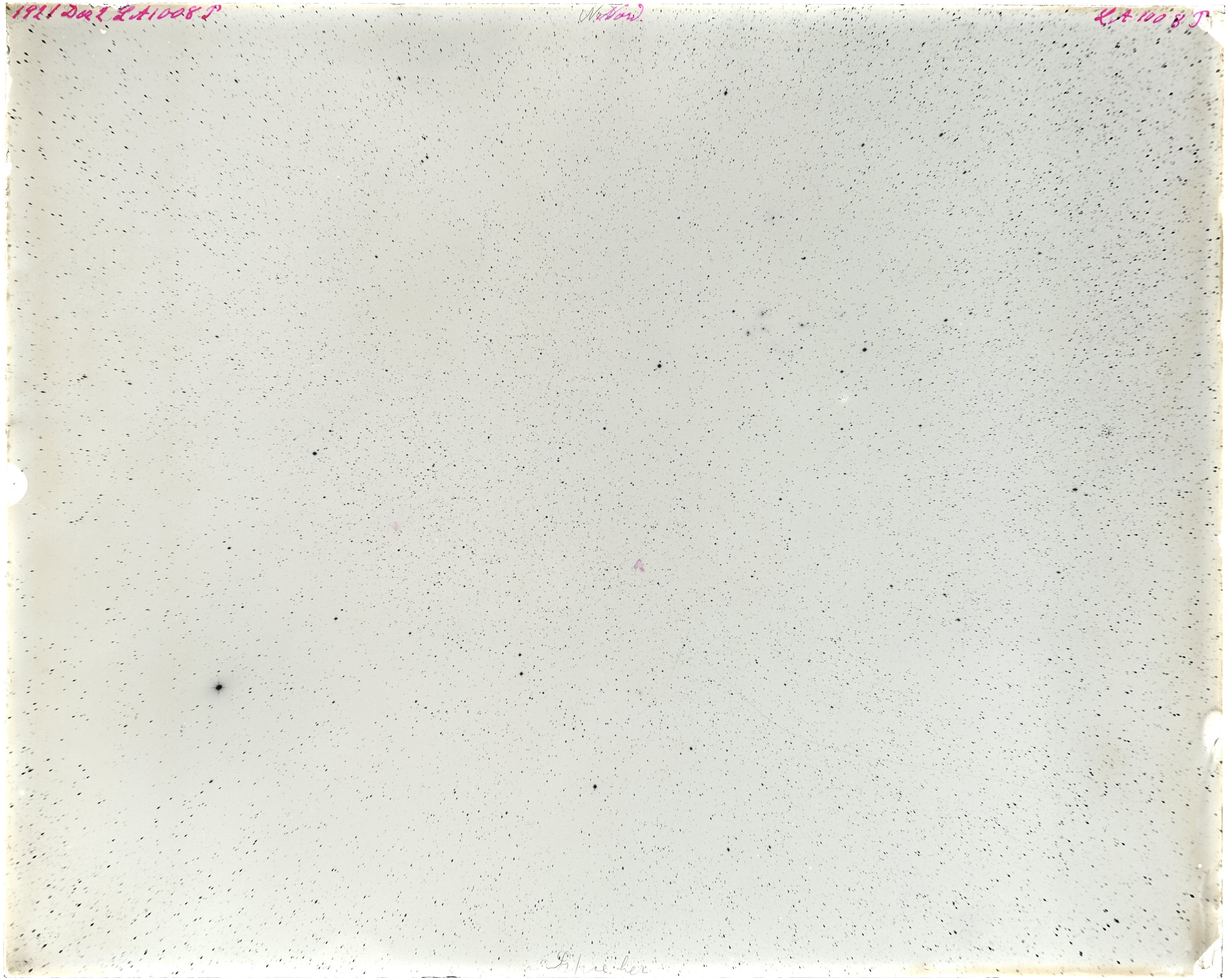 Scan LA01008