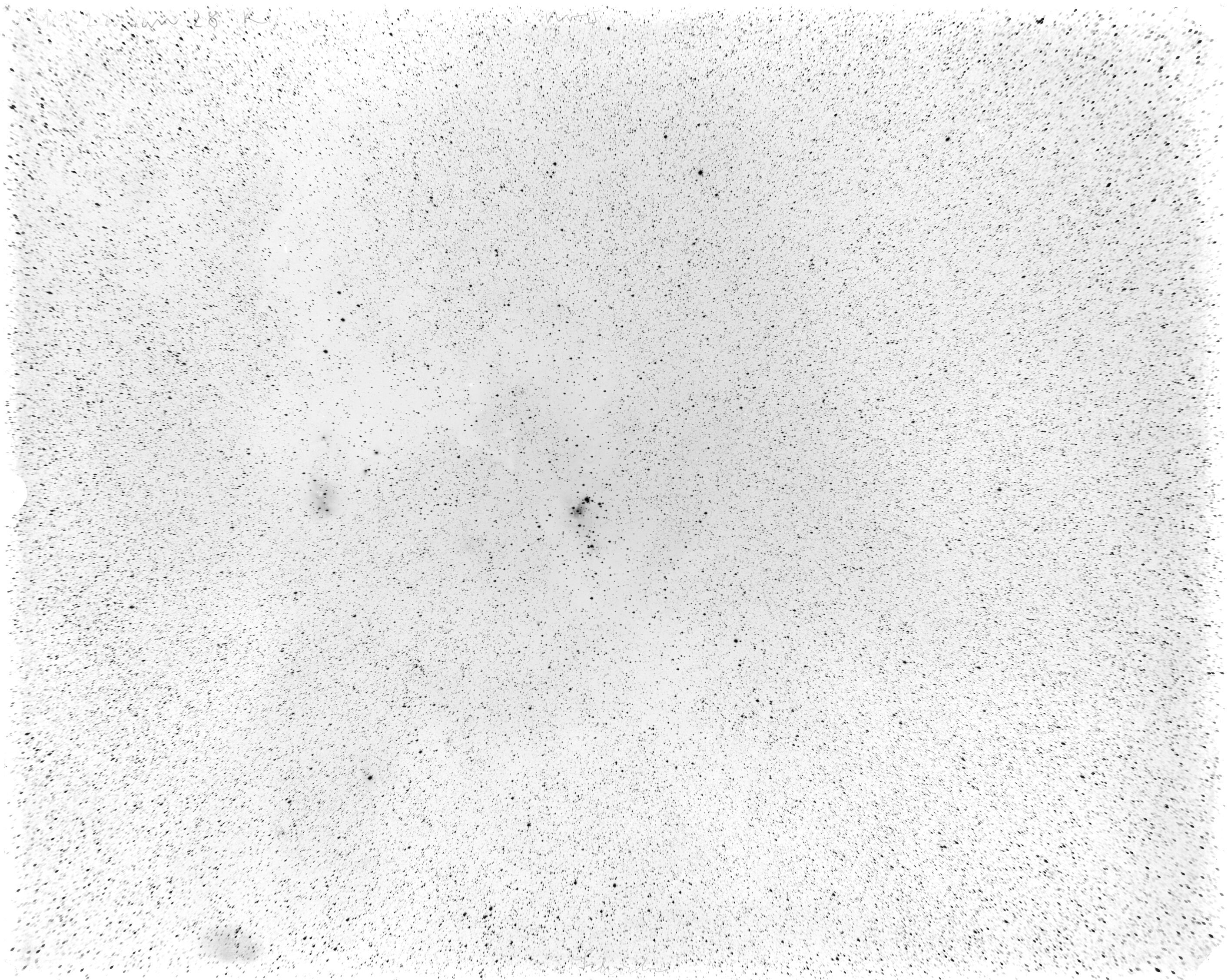 Scan LA01027