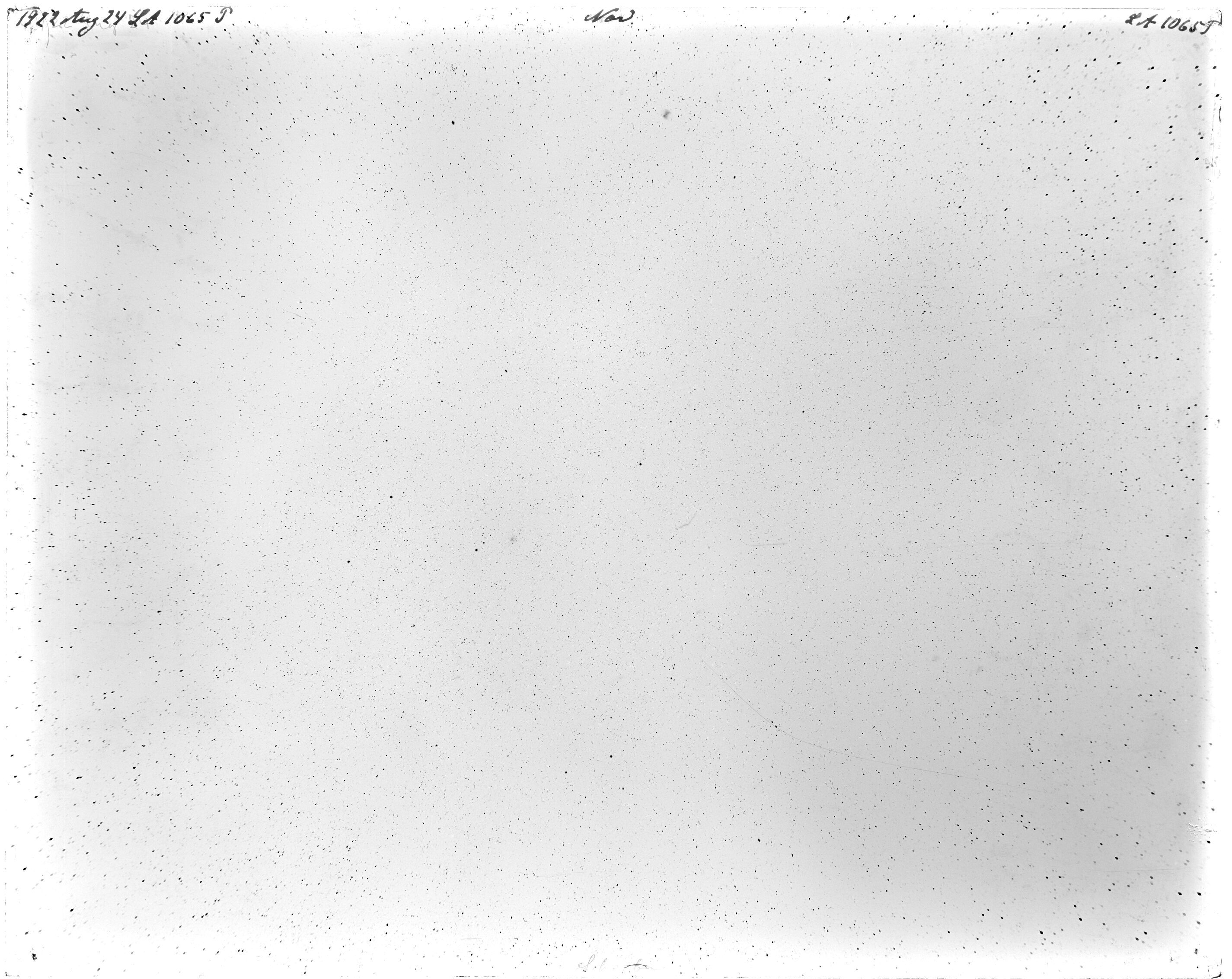 Scan LA01065