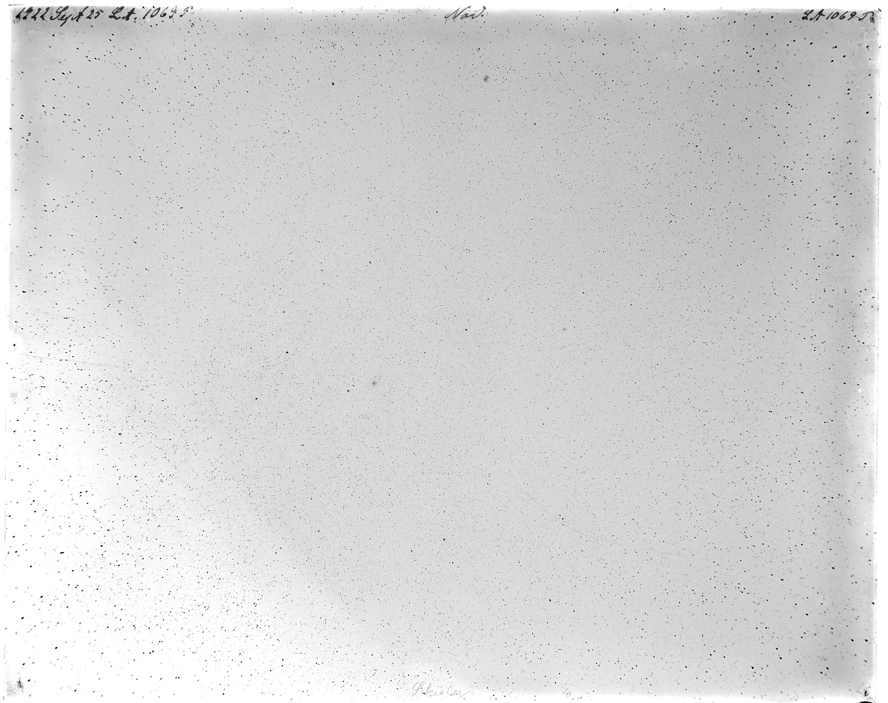 Scan LA01069