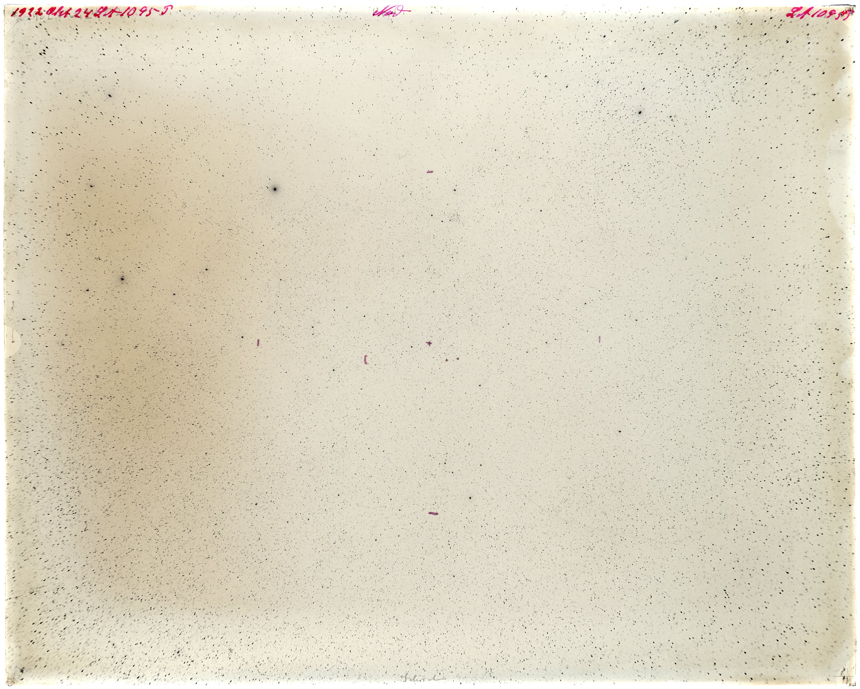 Scan LA01095