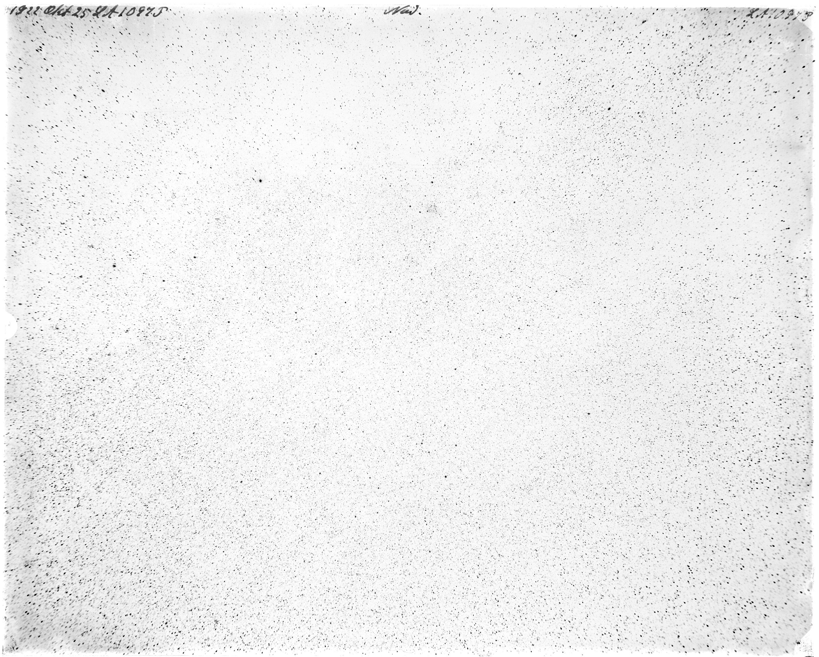 Scan LA01097