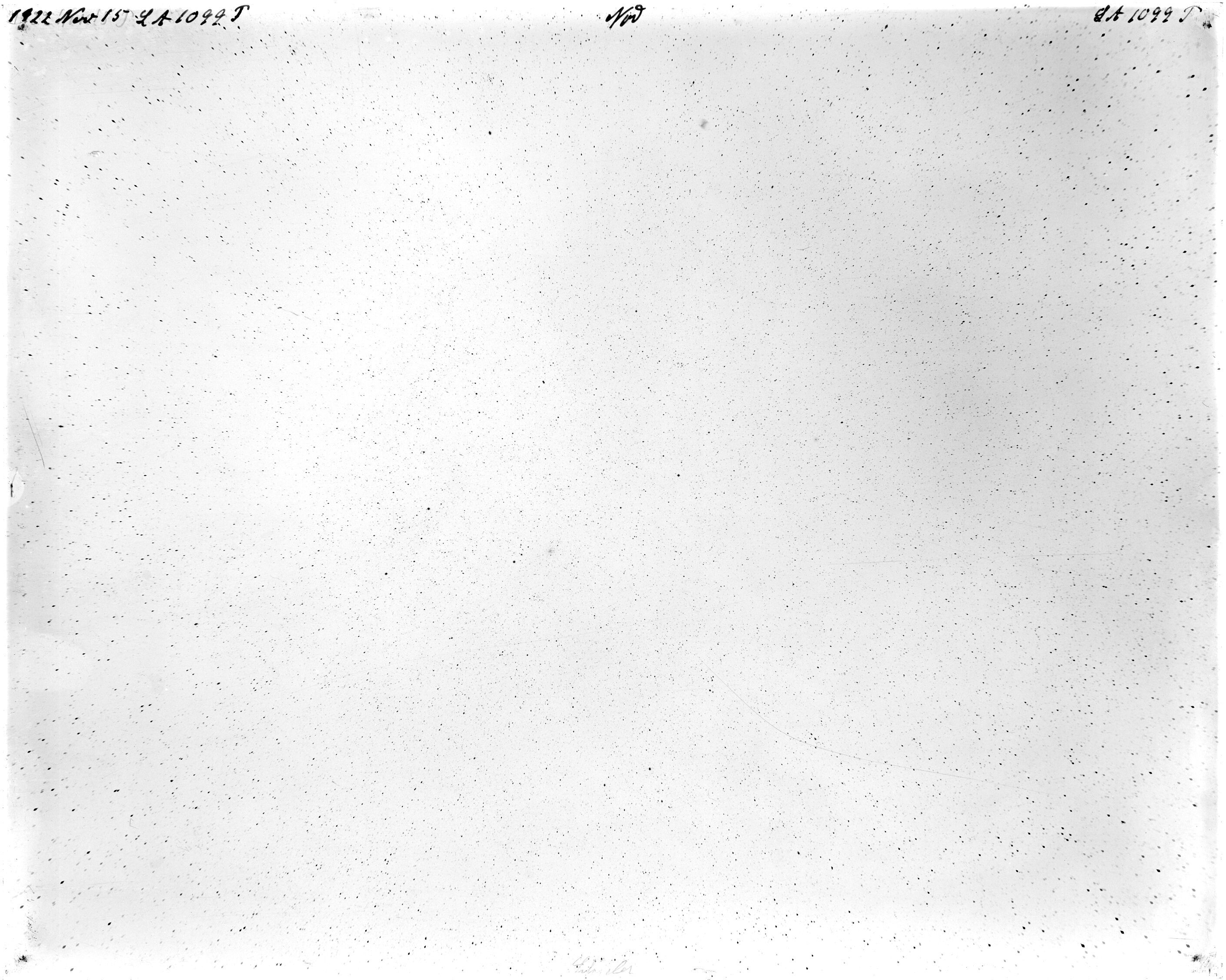 Scan LA01099