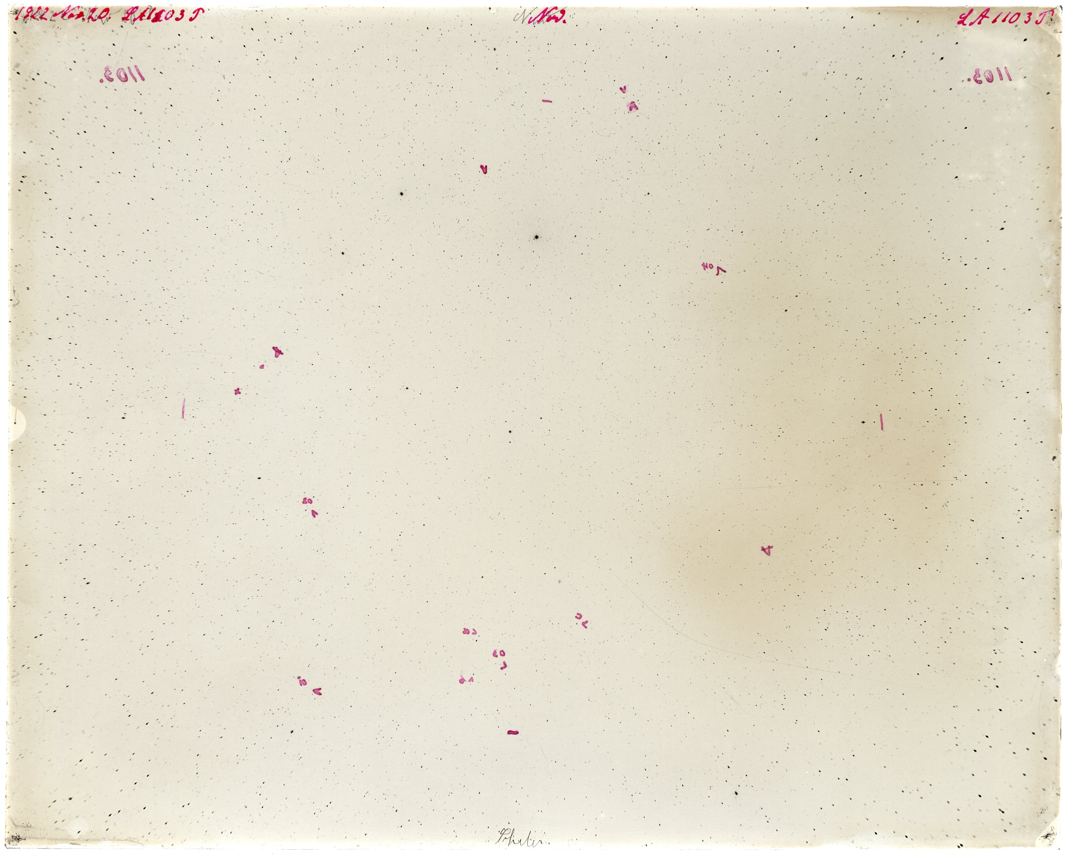 Scan LA01103