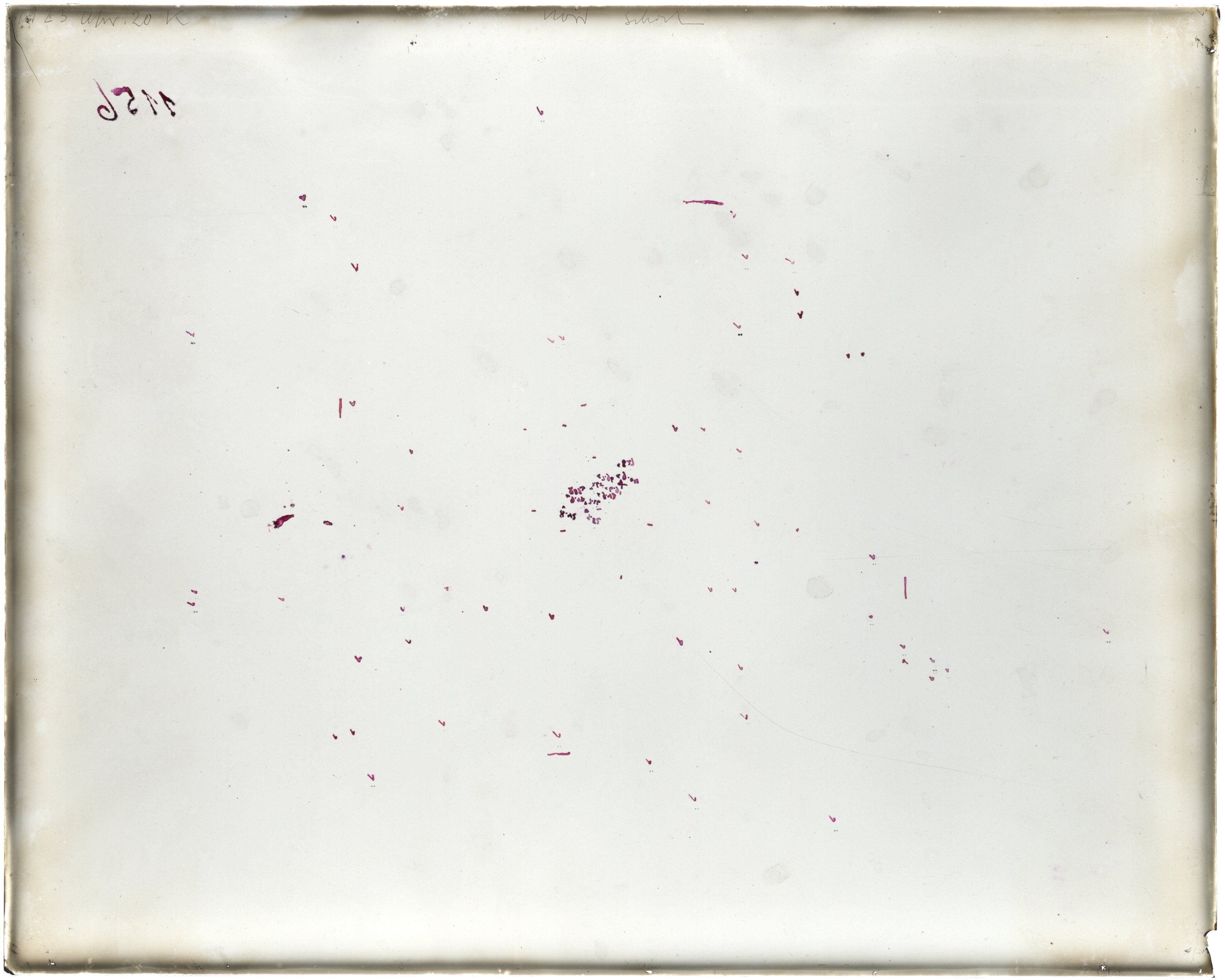 Scan LA01156