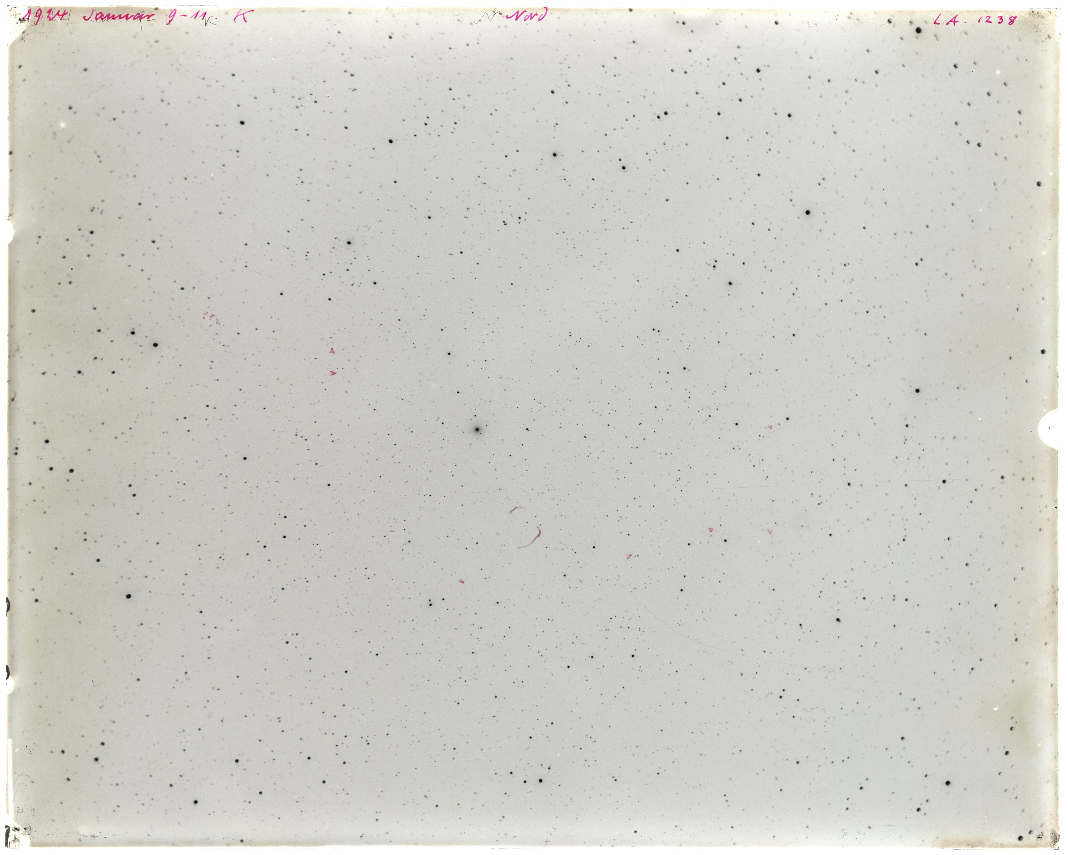 Scan LA01238