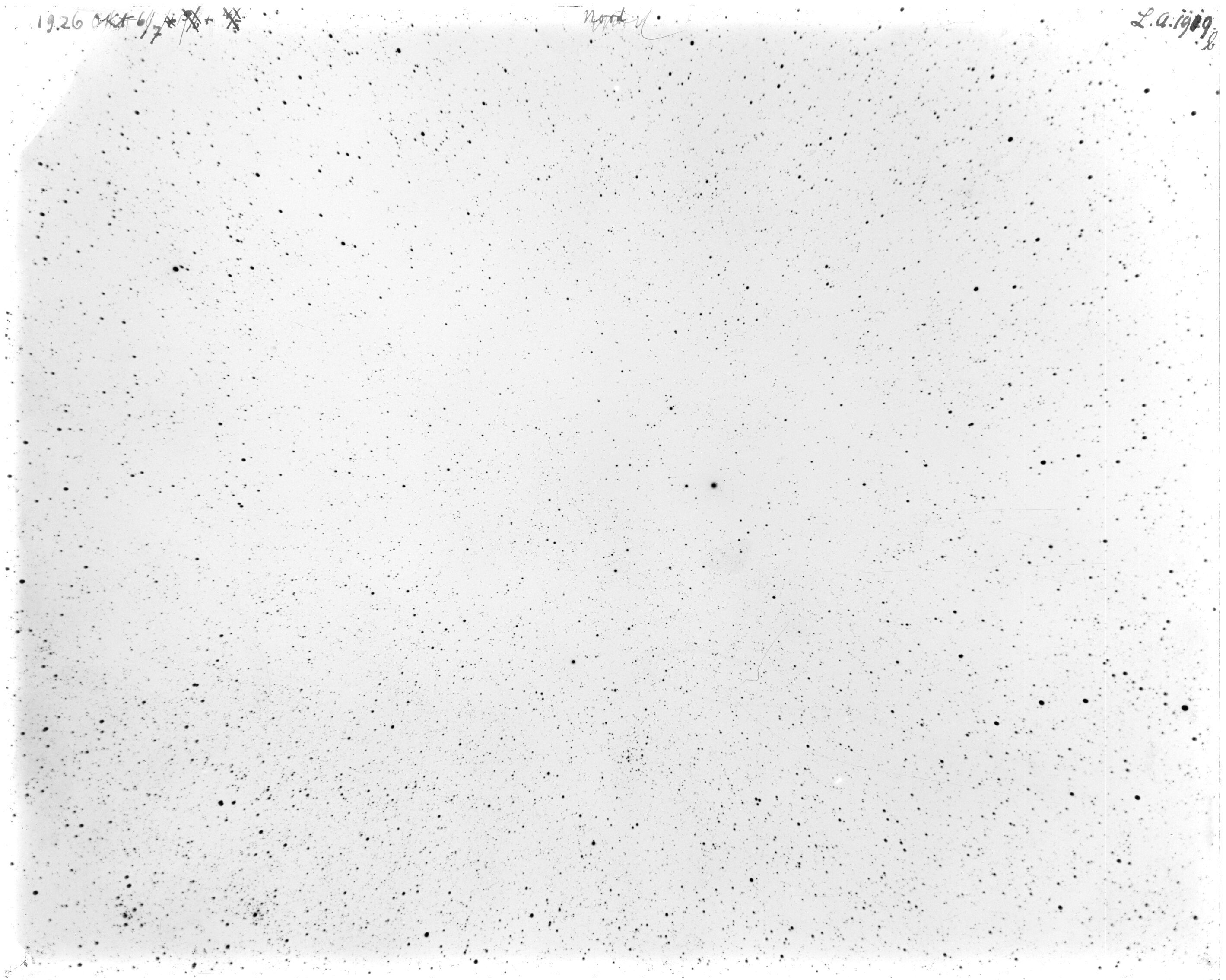 Scan LA01919b