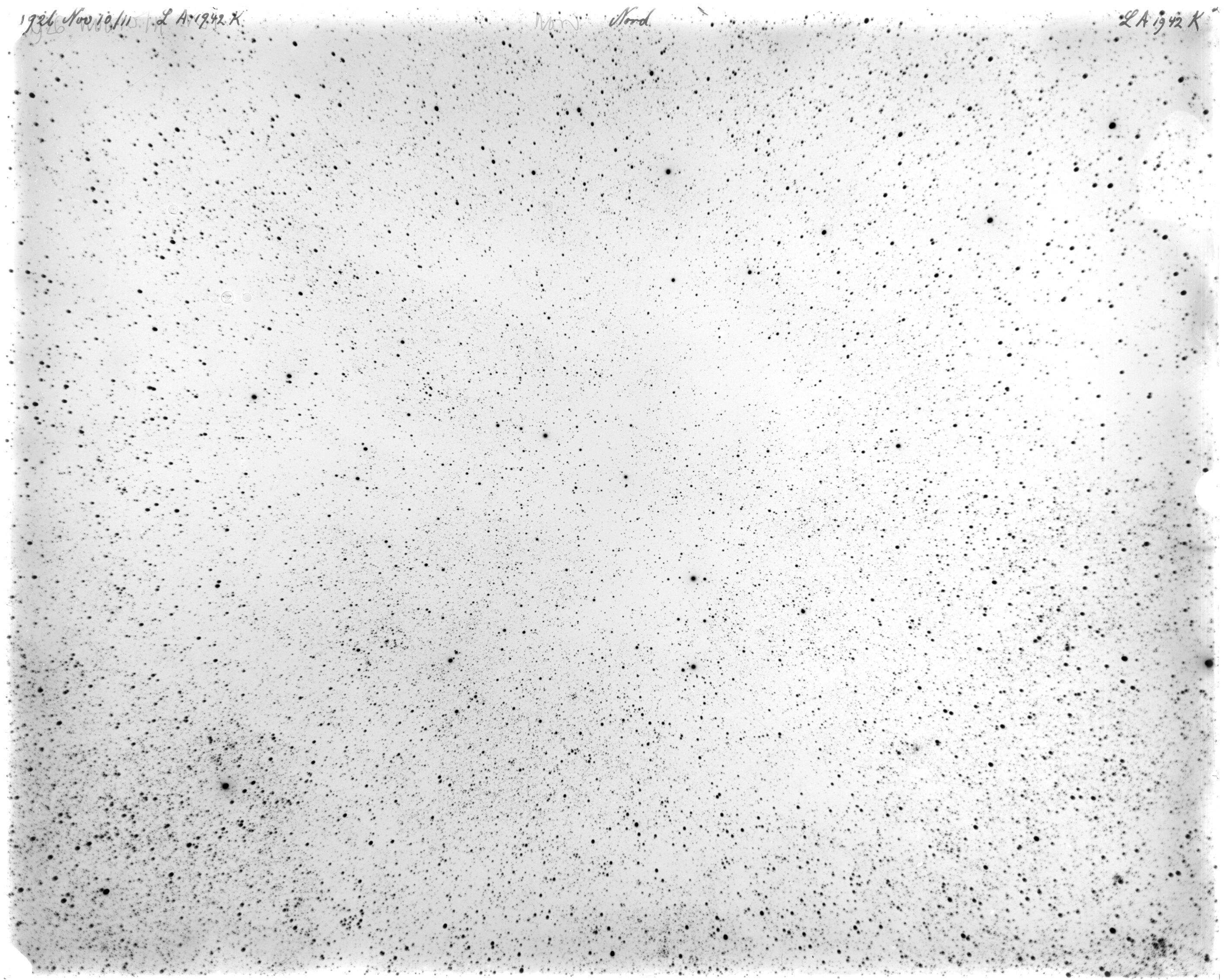 Scan LA01942