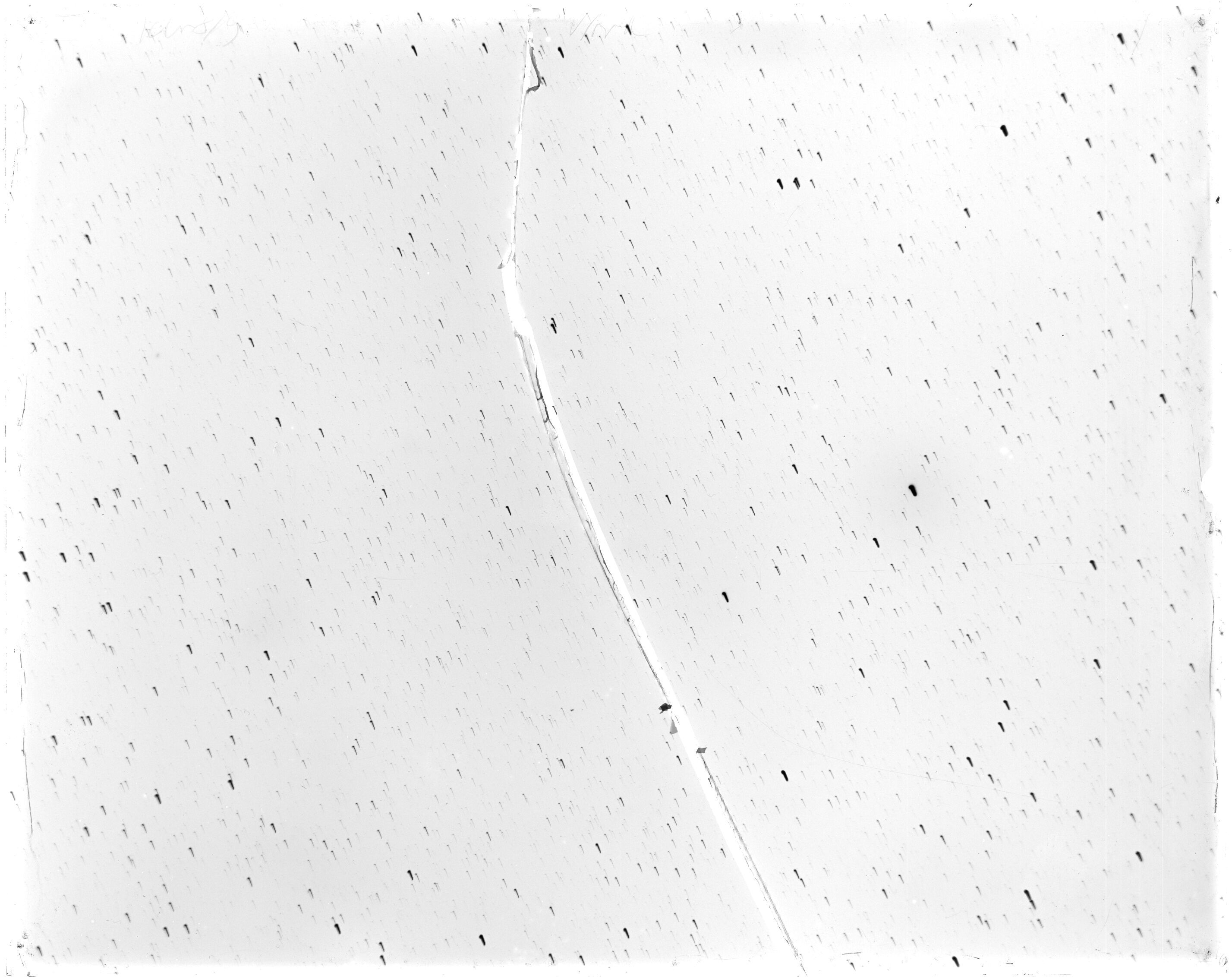 Scan LA01965