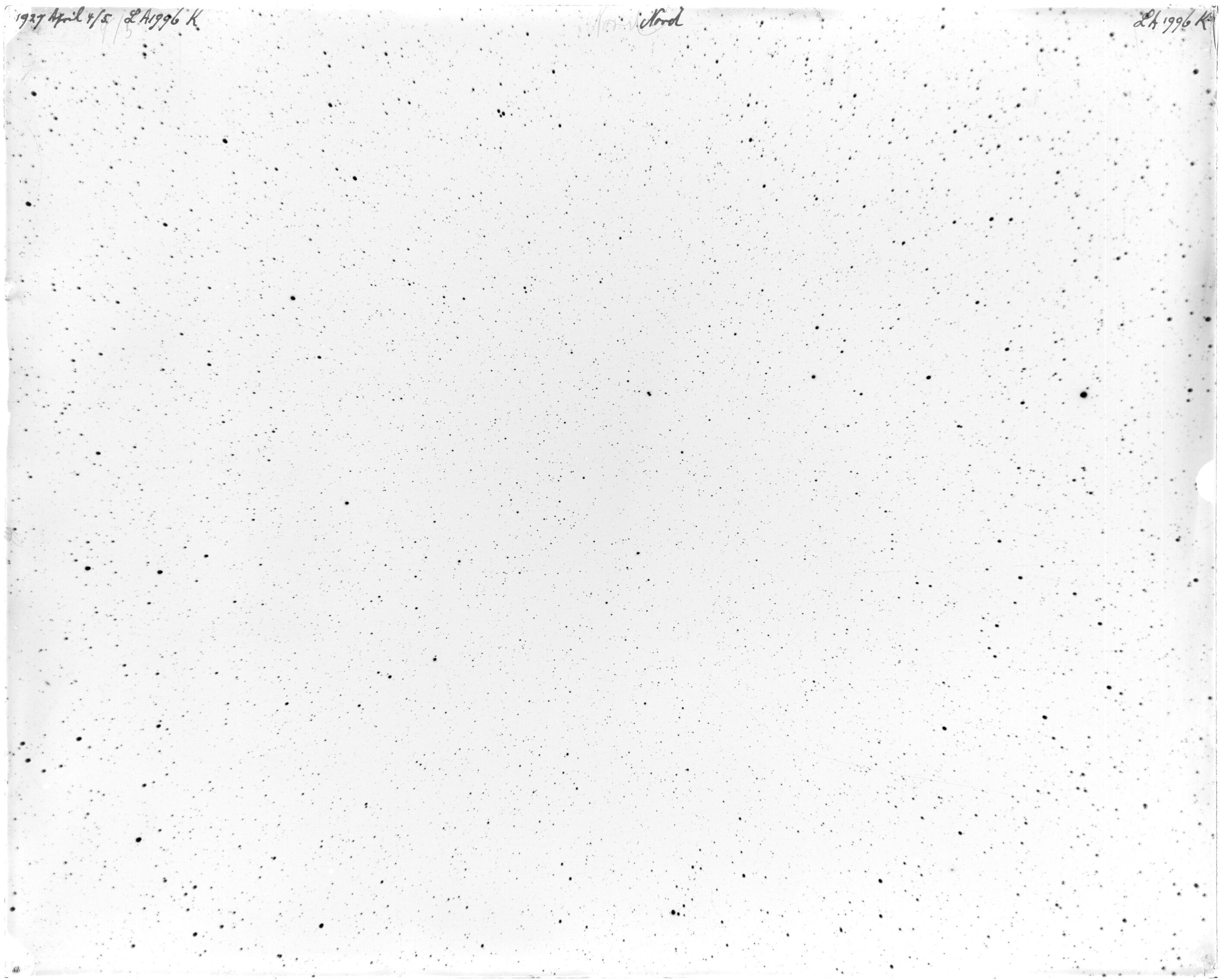 Scan LA01996