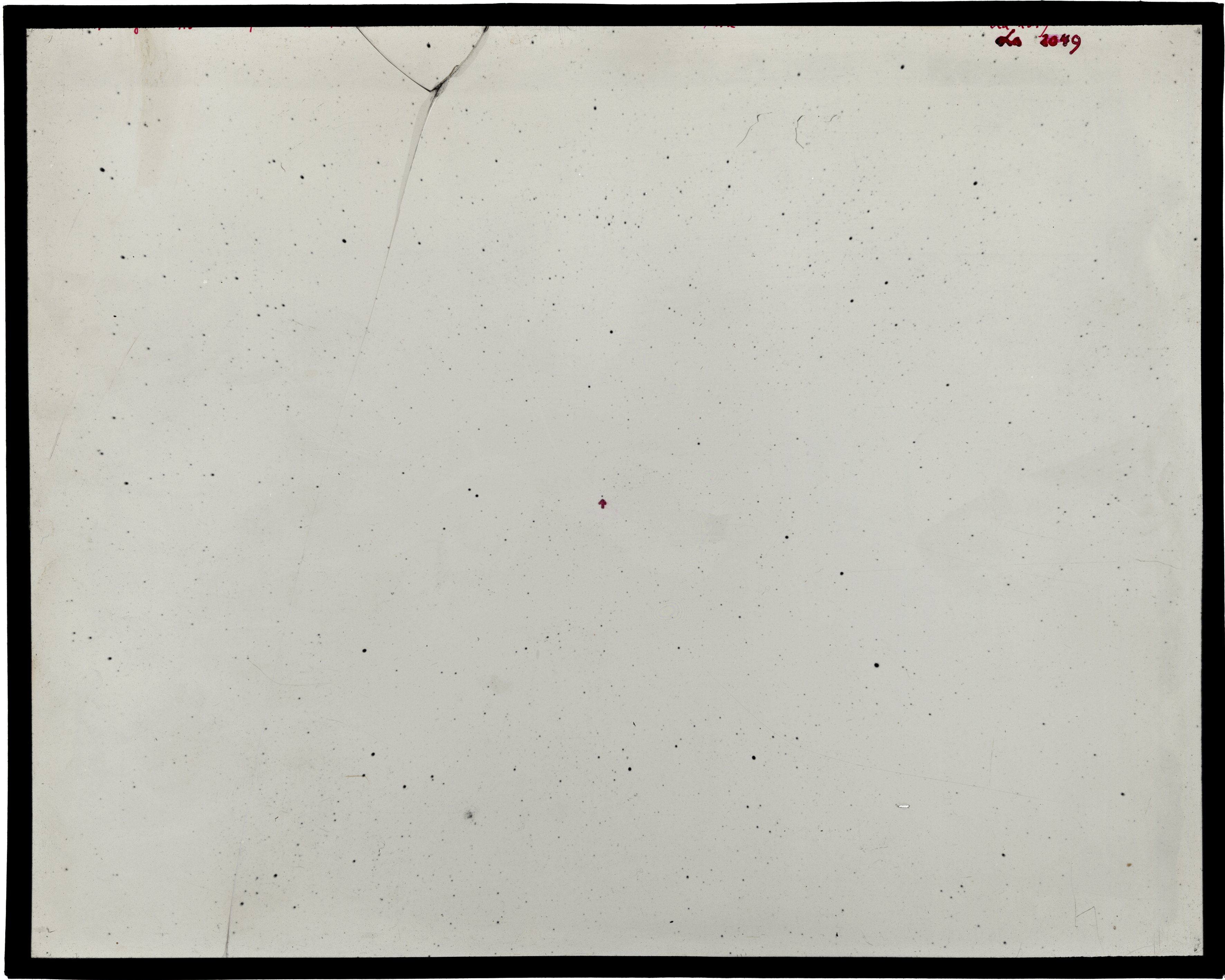 Scan LA02049