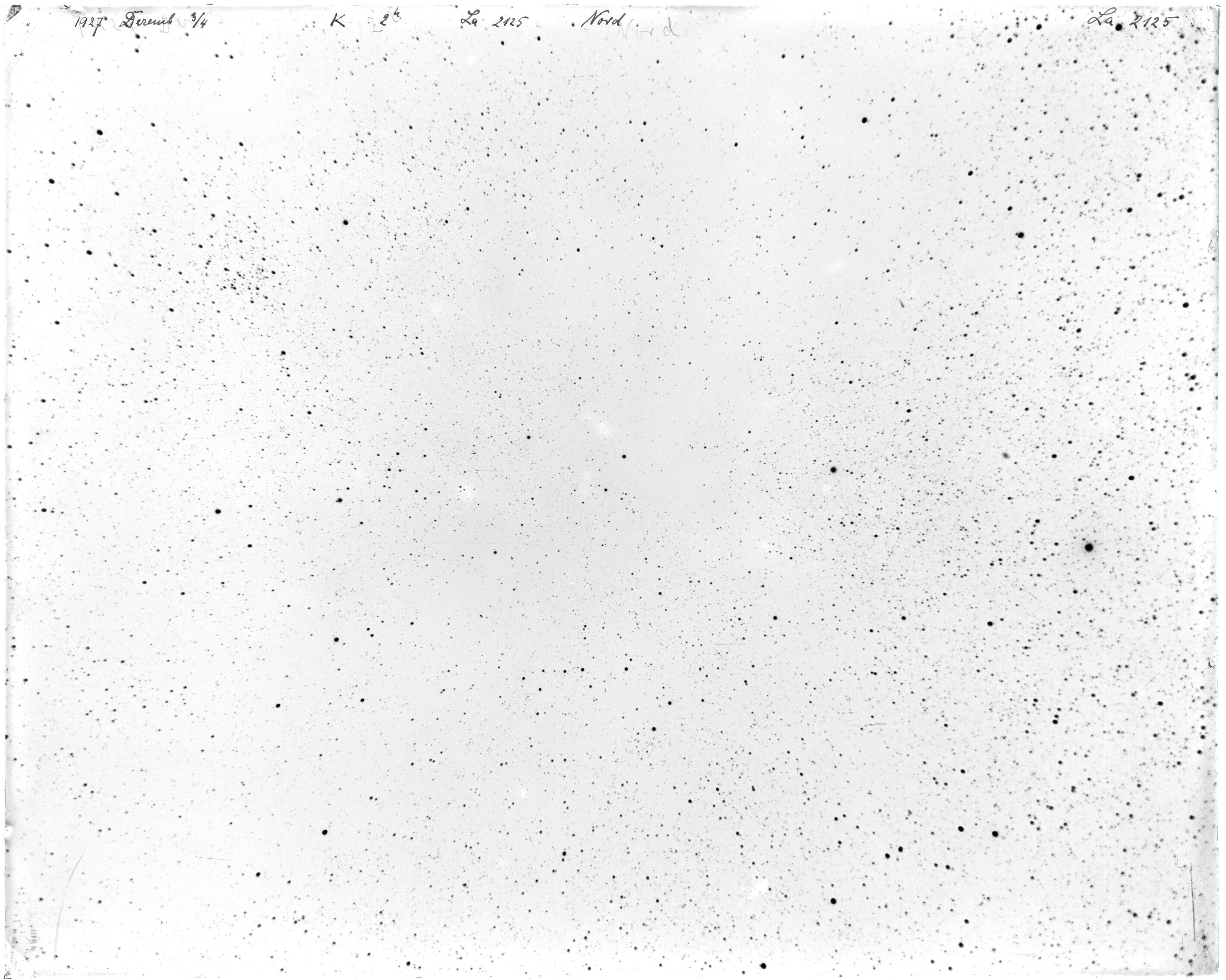 Scan LA02125