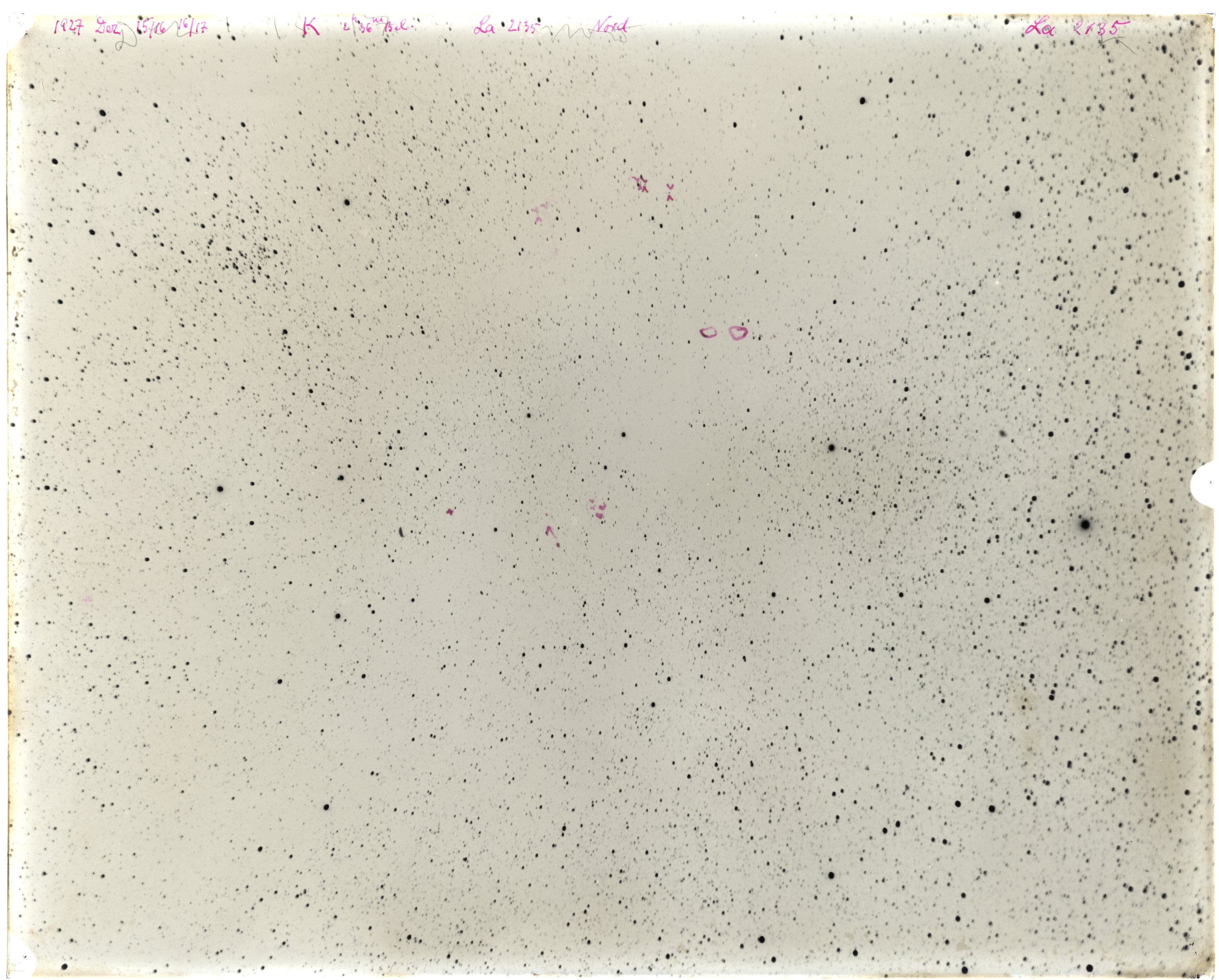 Scan LA02135