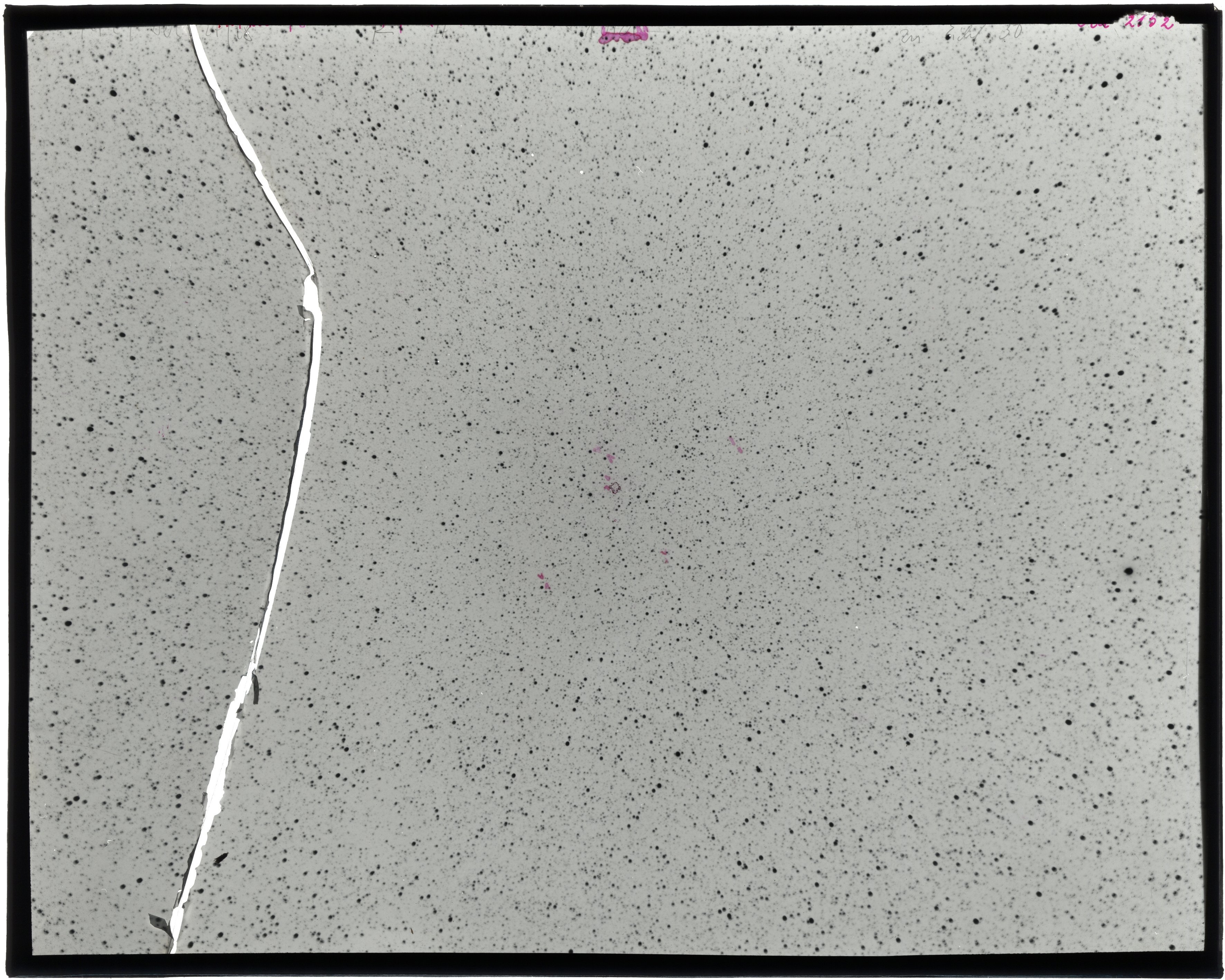 Scan LA02152