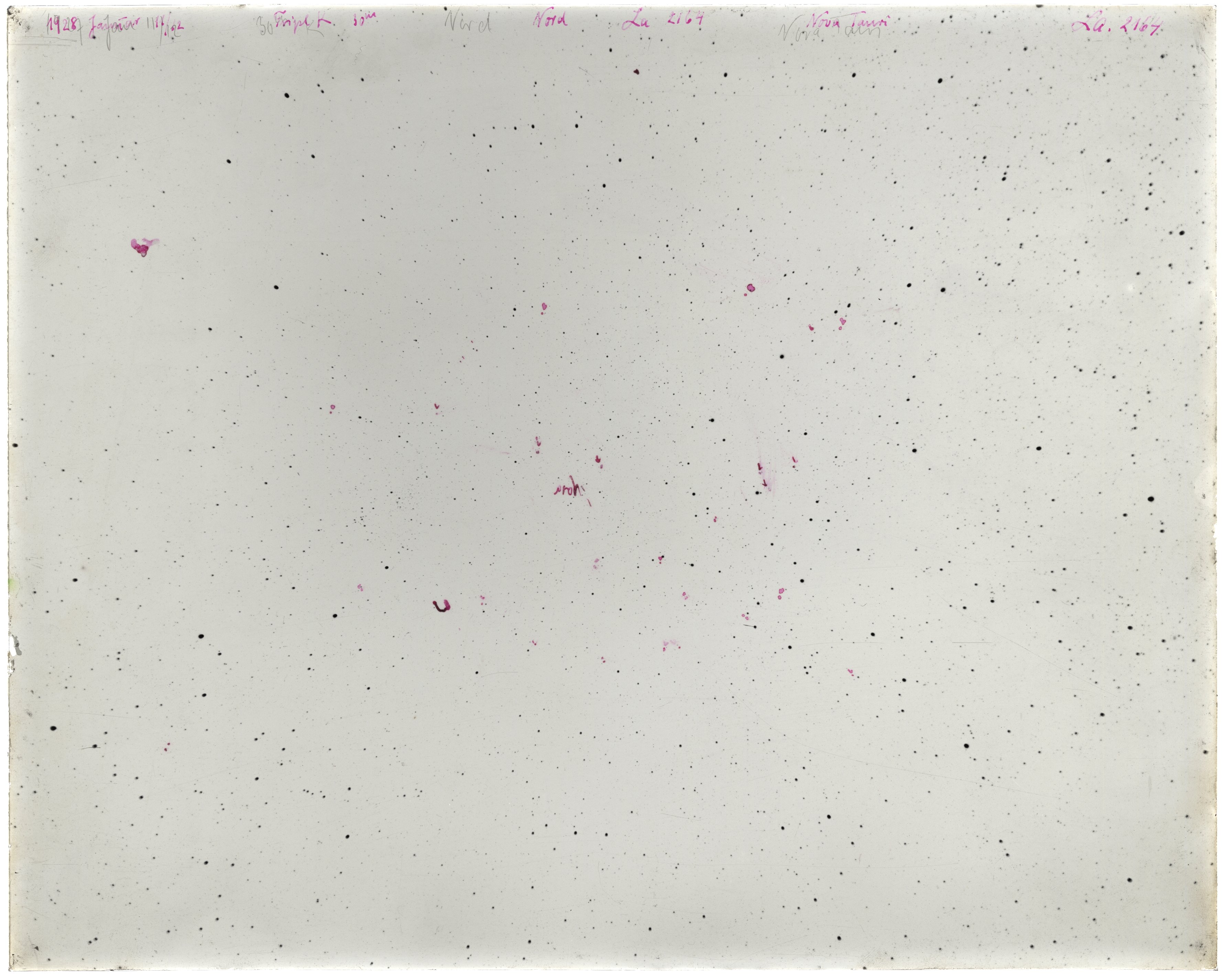 Scan LA02164