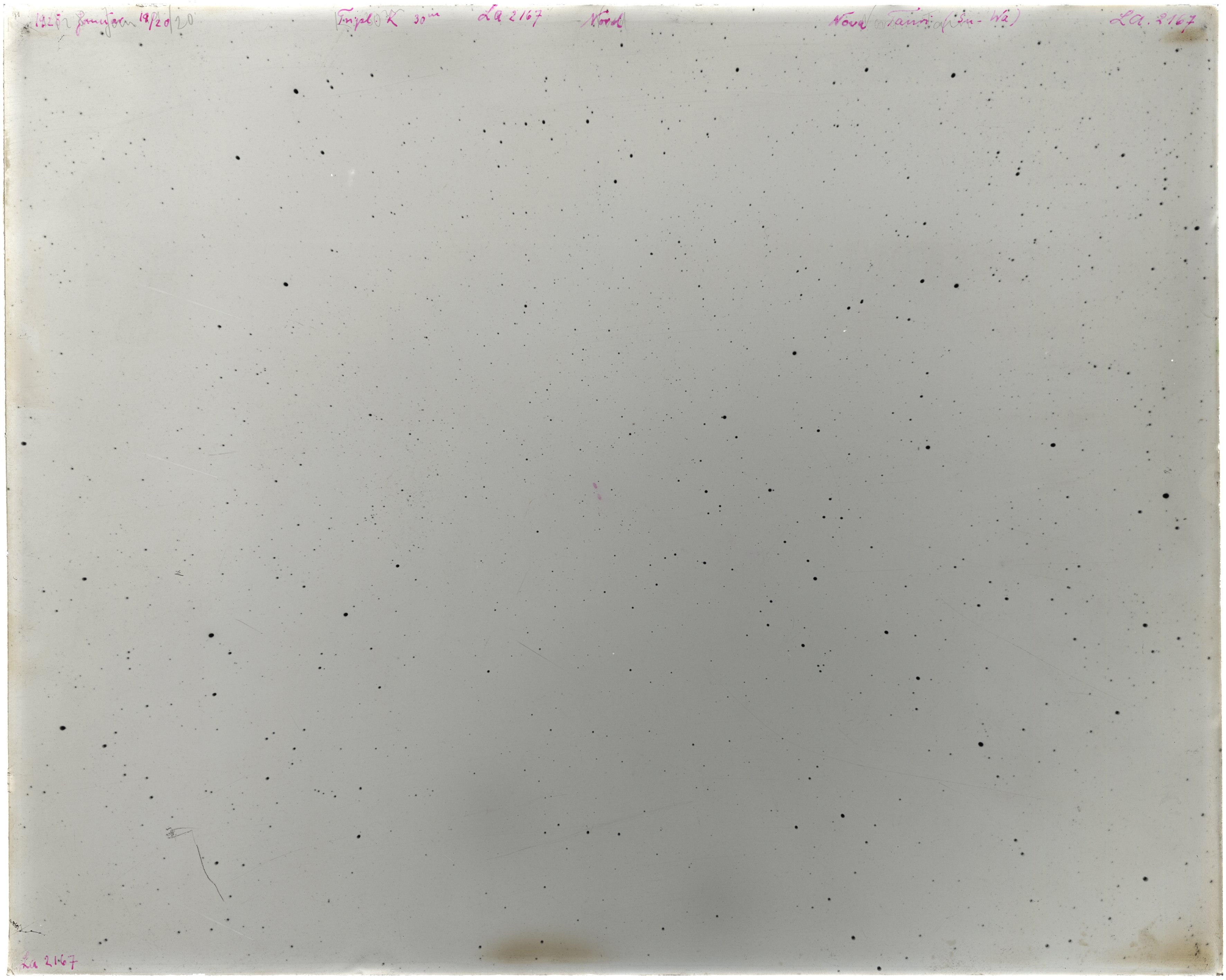 Scan LA02167