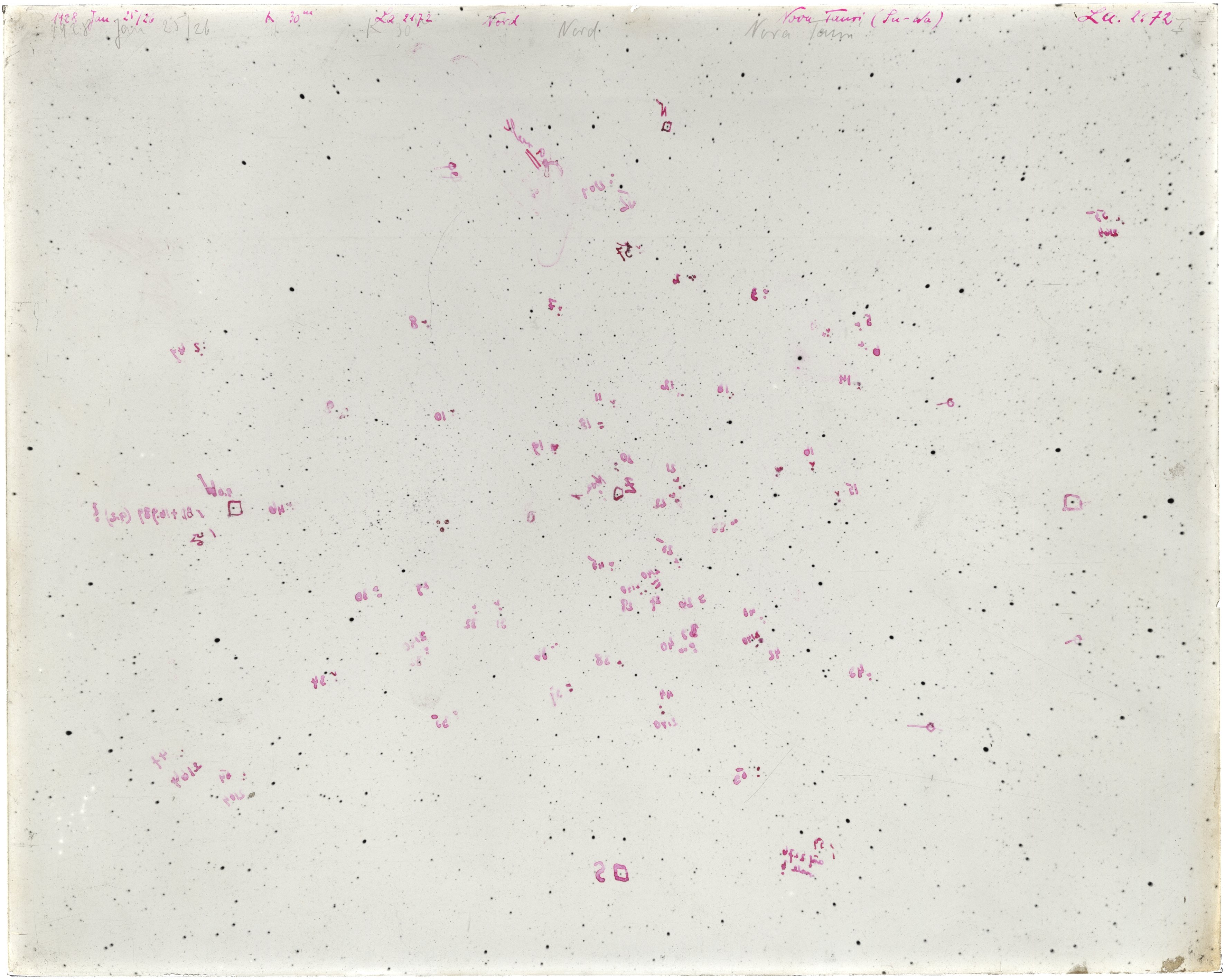 Scan LA02172