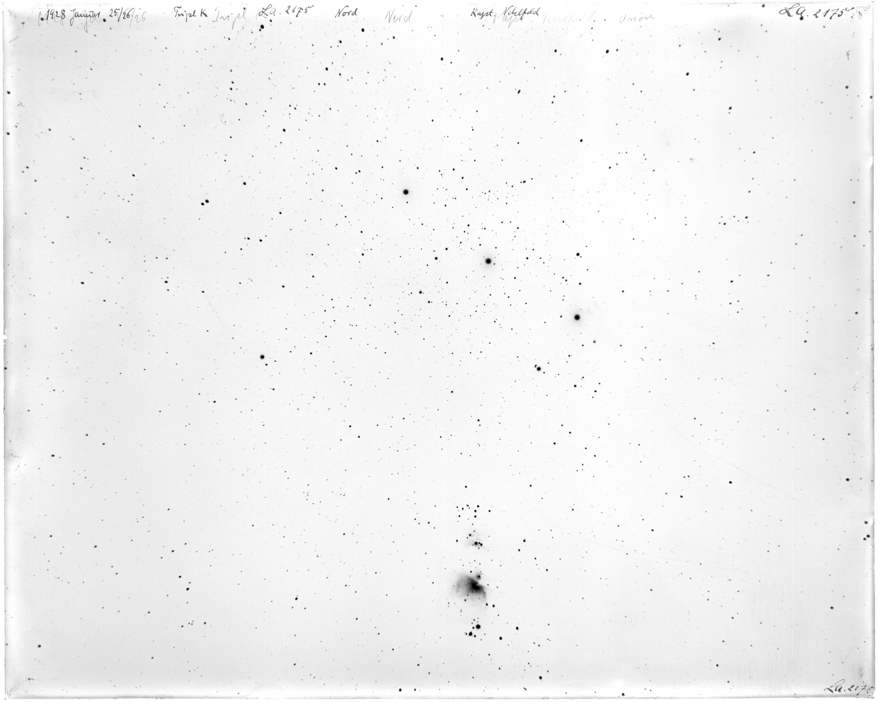 Scan LA02175