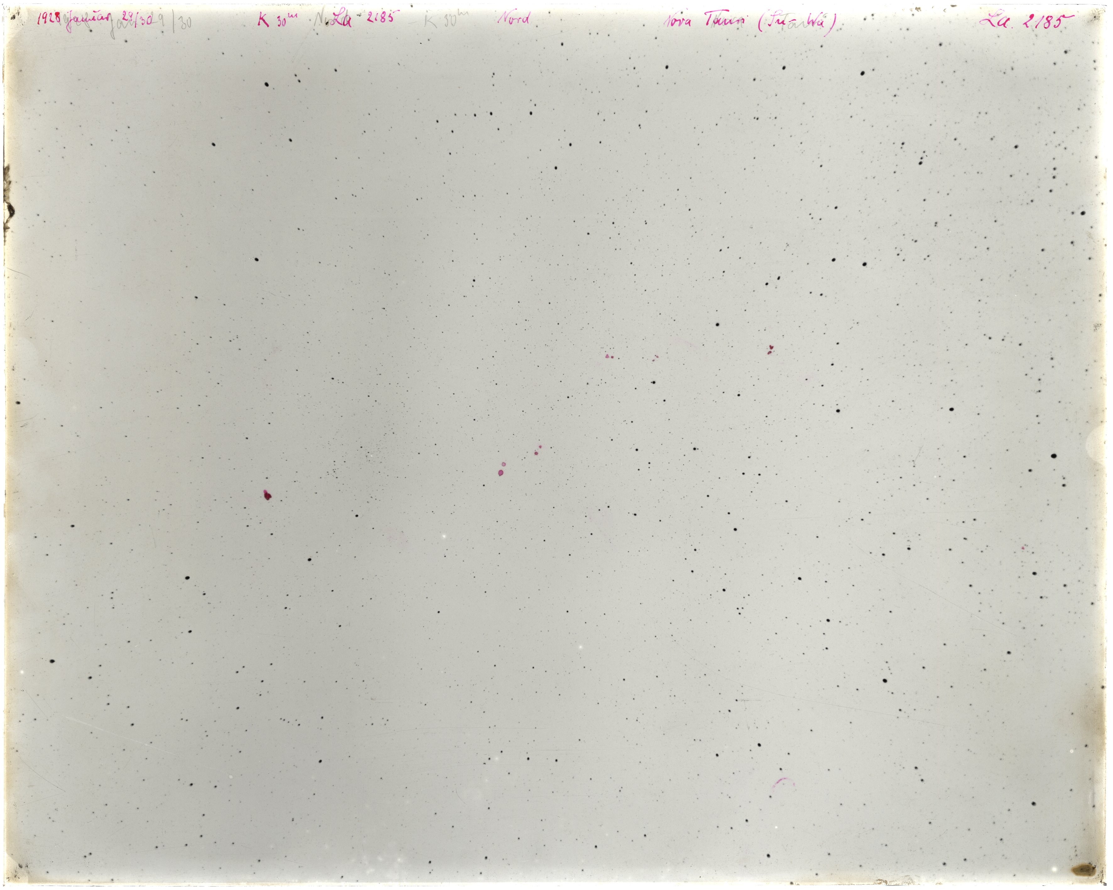 Scan LA02185