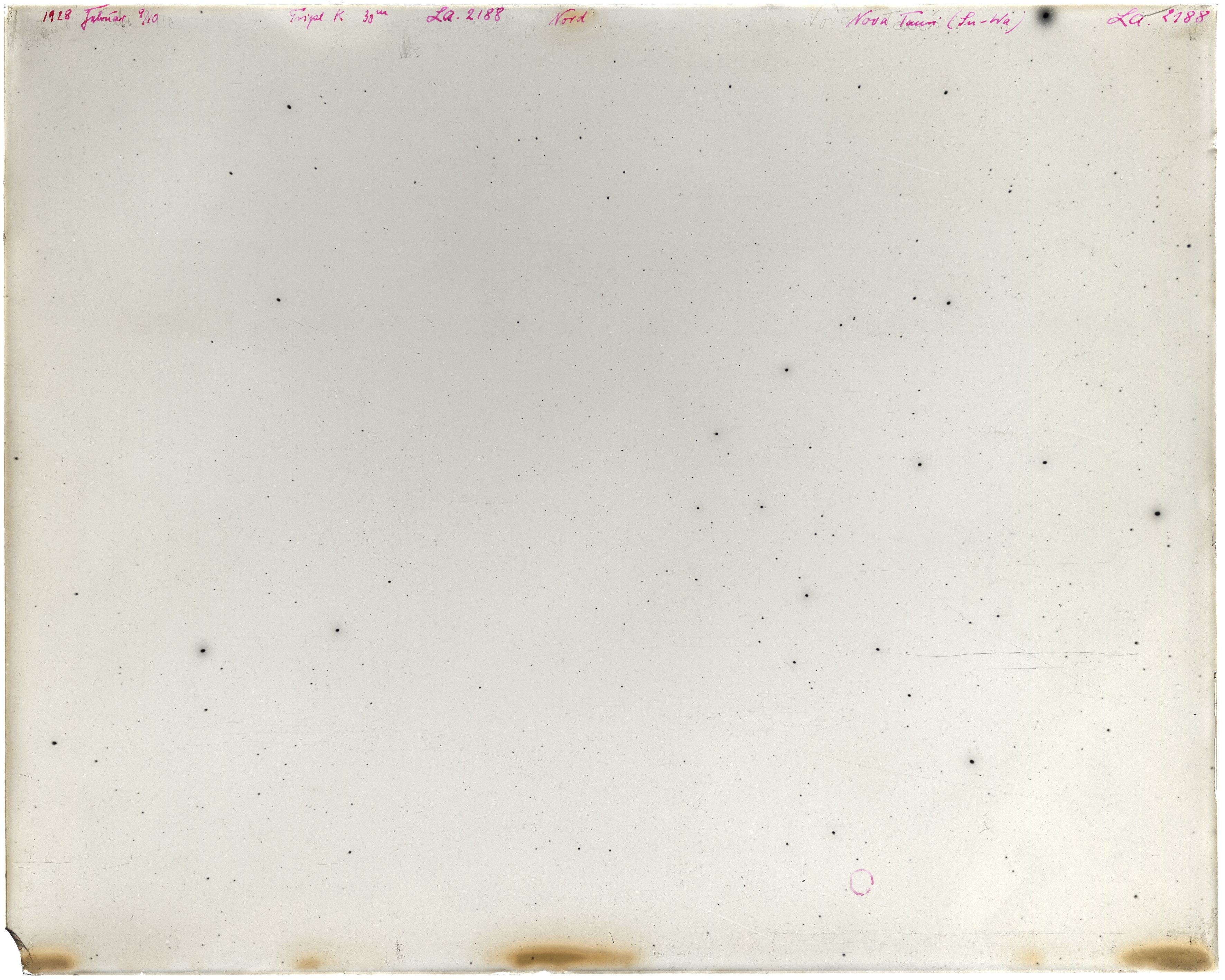 Scan LA02188