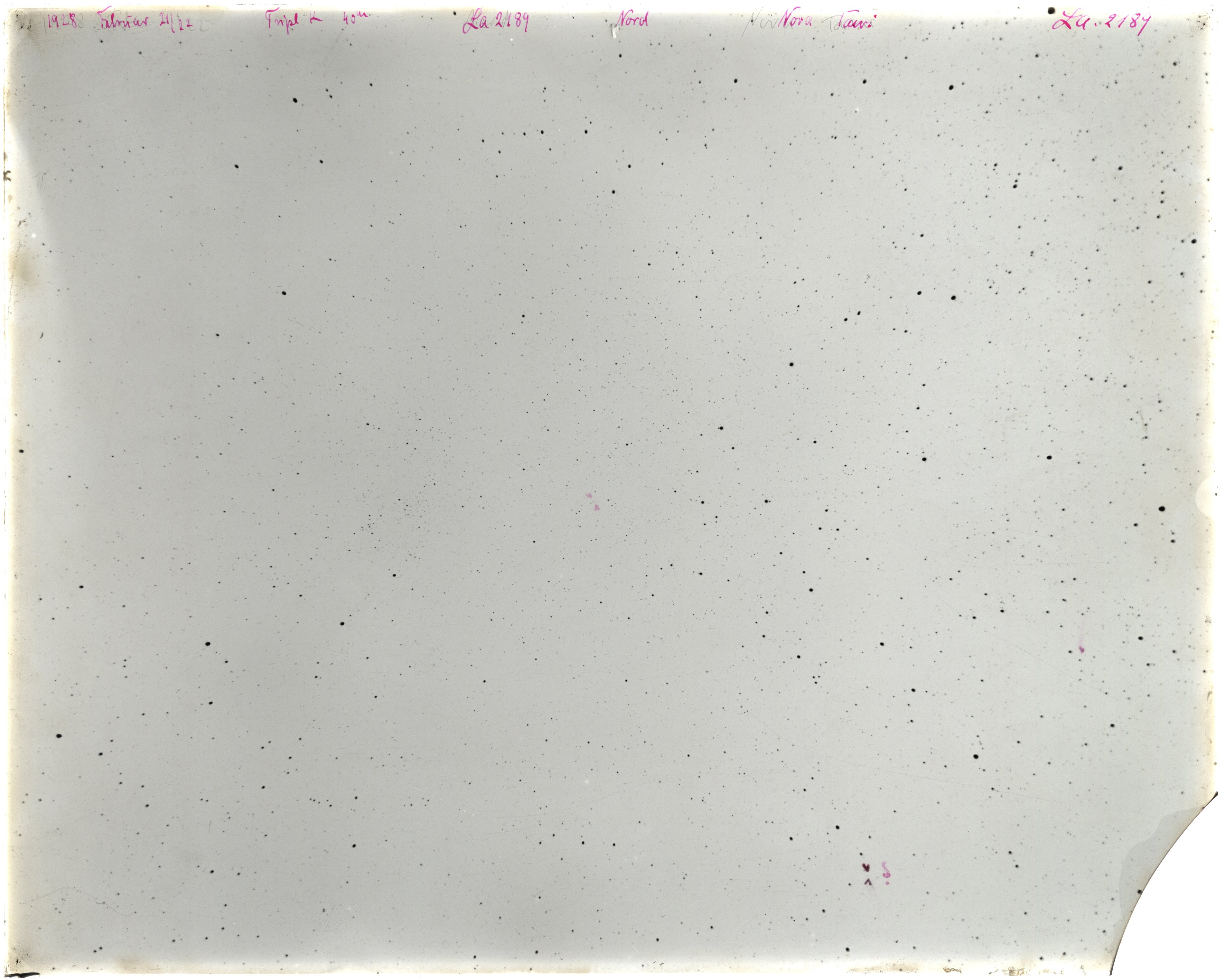 Scan LA02189
