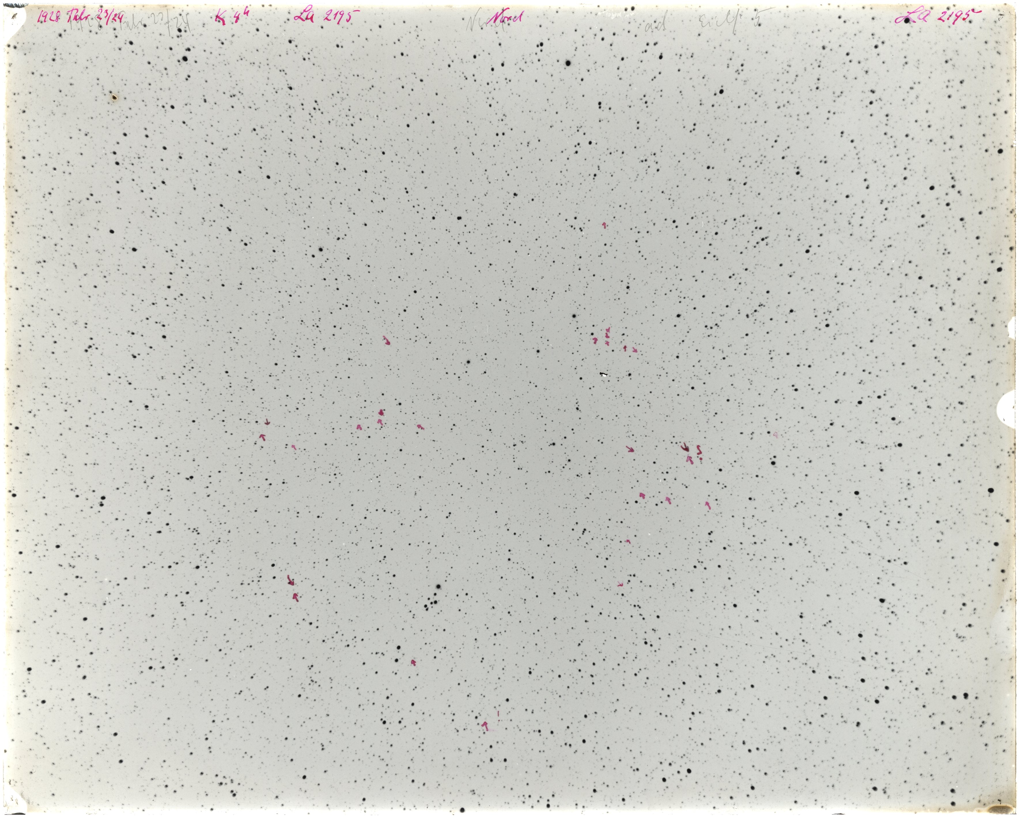Scan LA02195