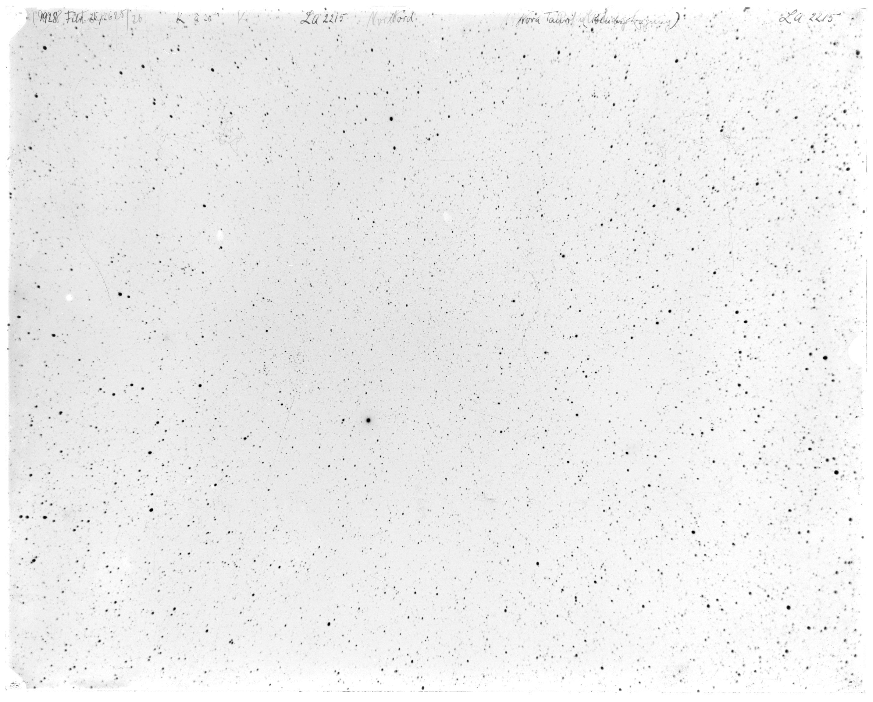 Scan LA02215