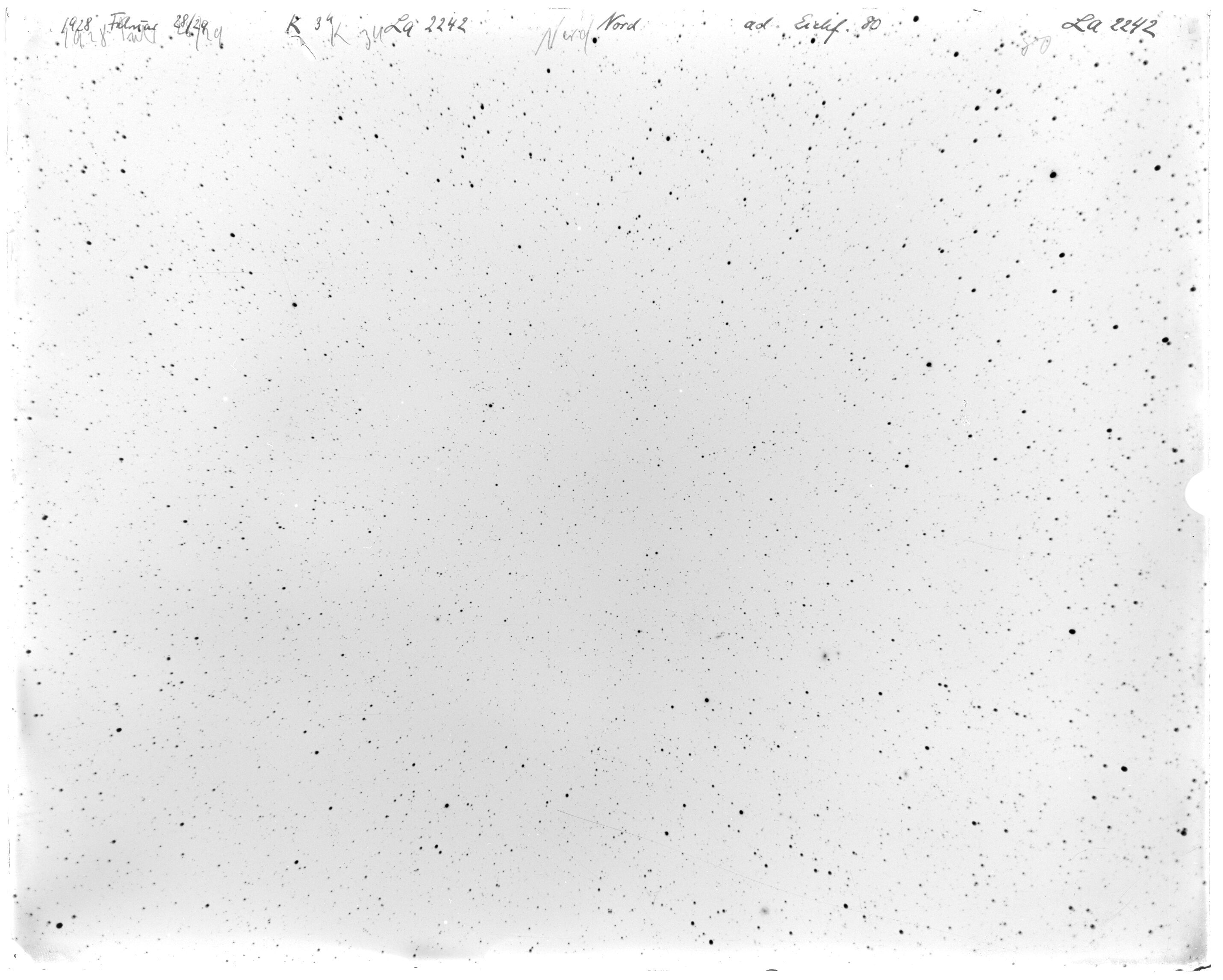 Scan LA02242