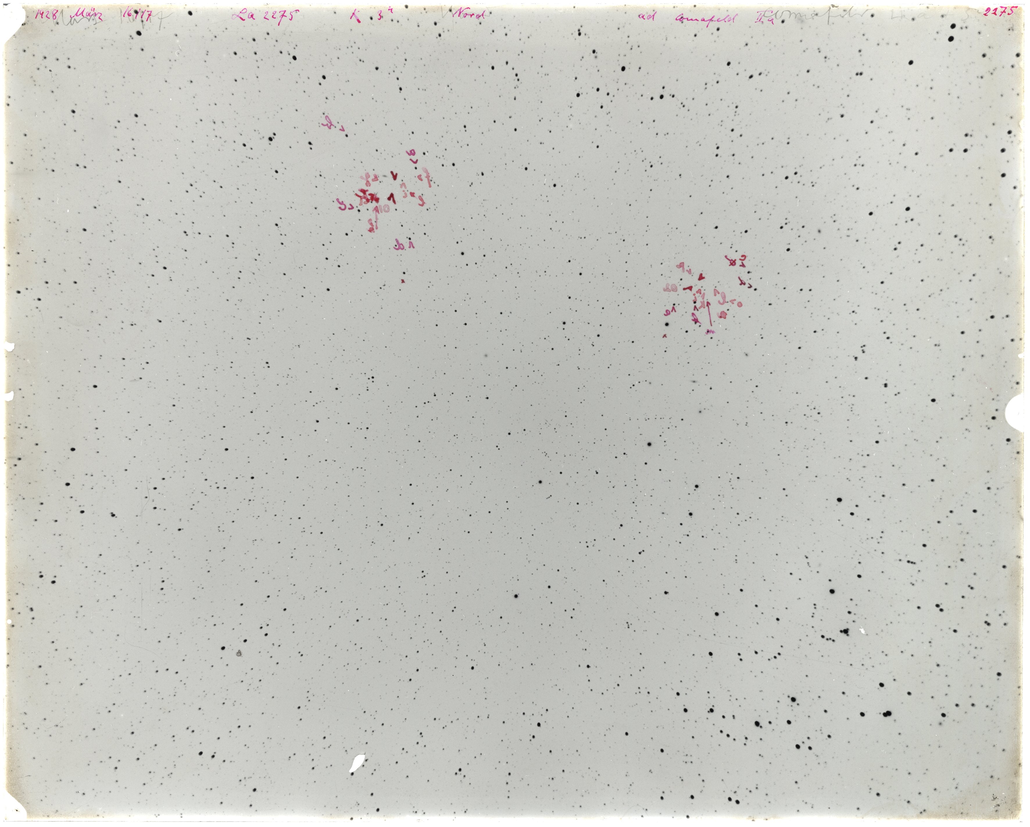 Scan LA02275