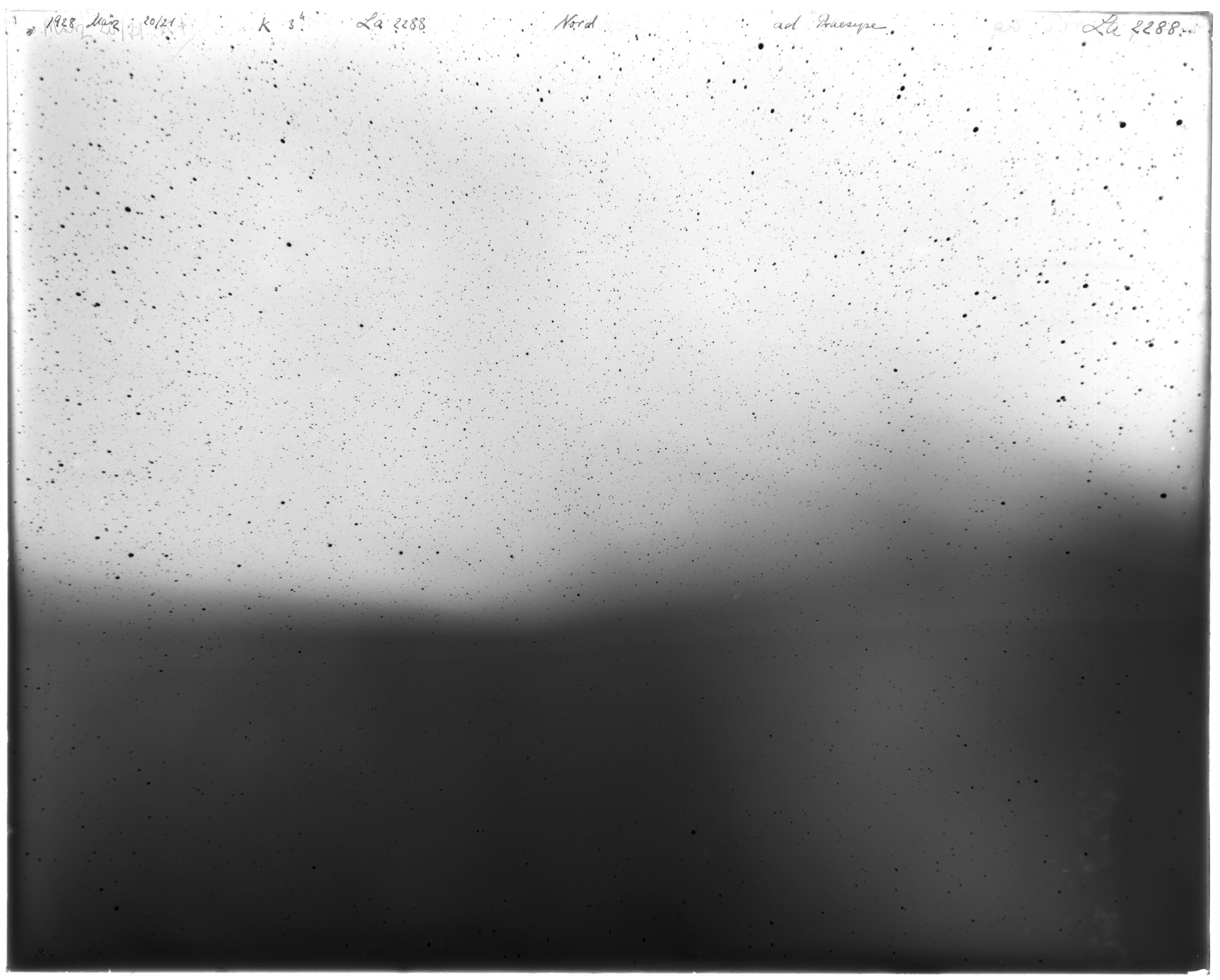 Scan LA02288