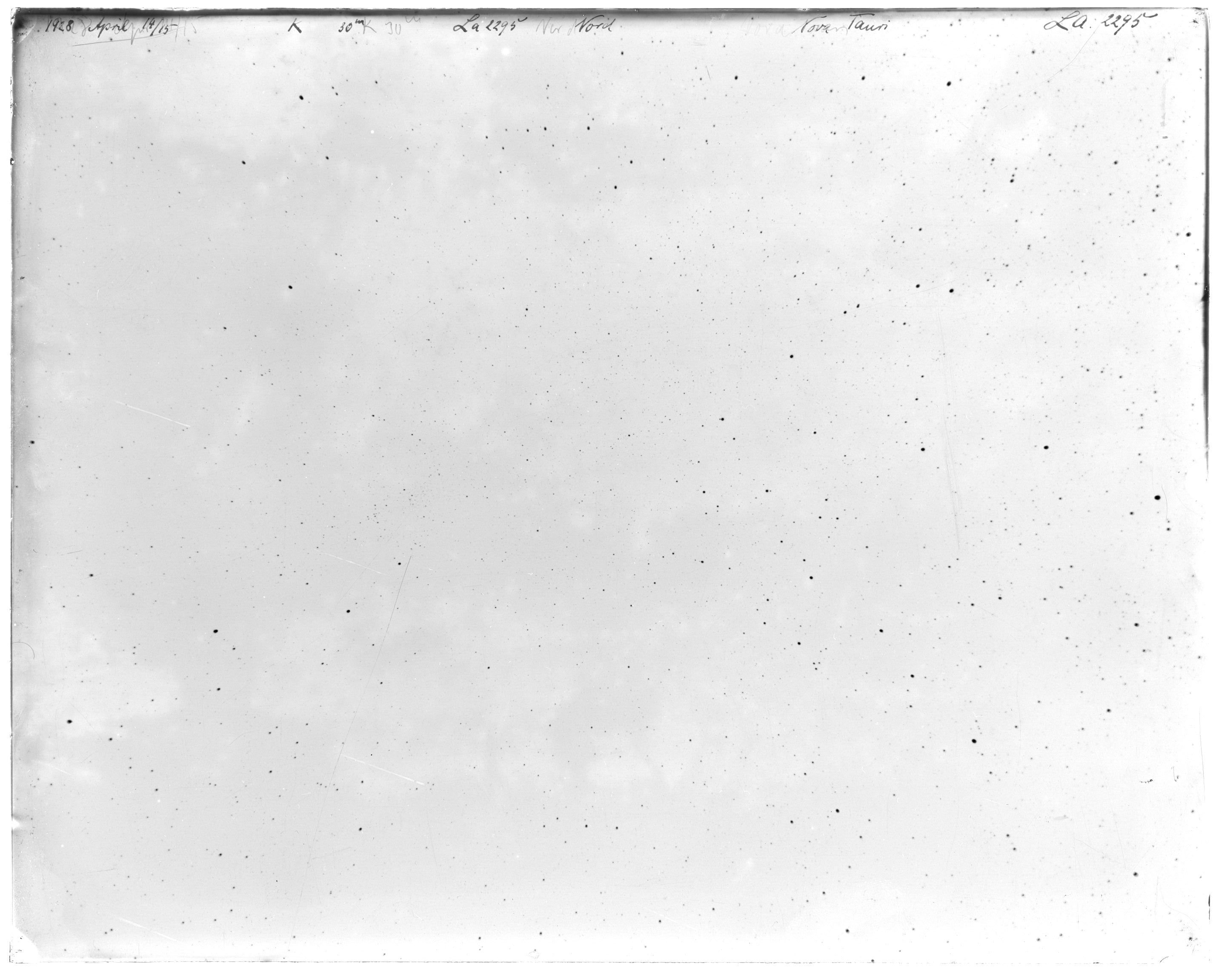 Scan LA02295