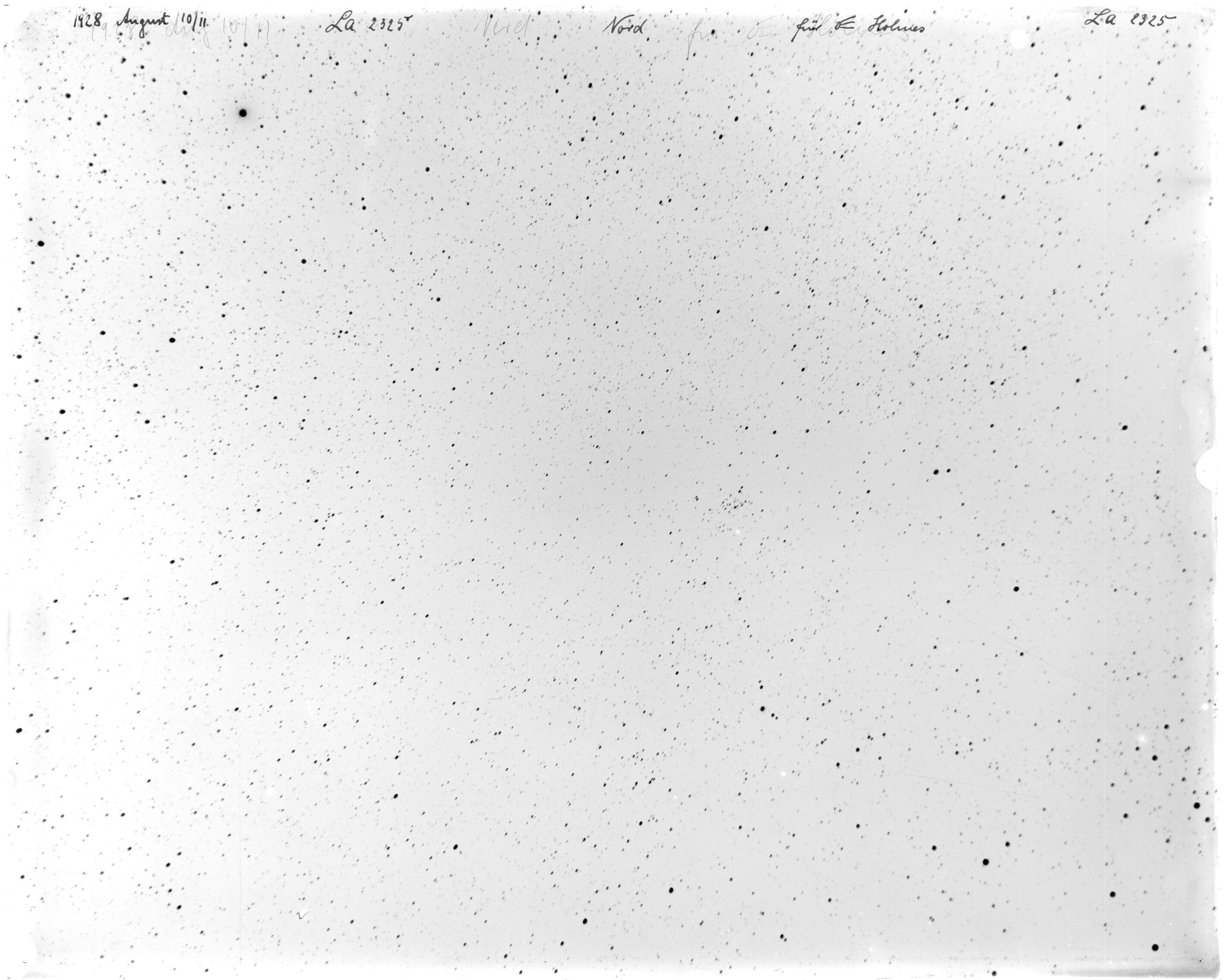 Scan LA02325