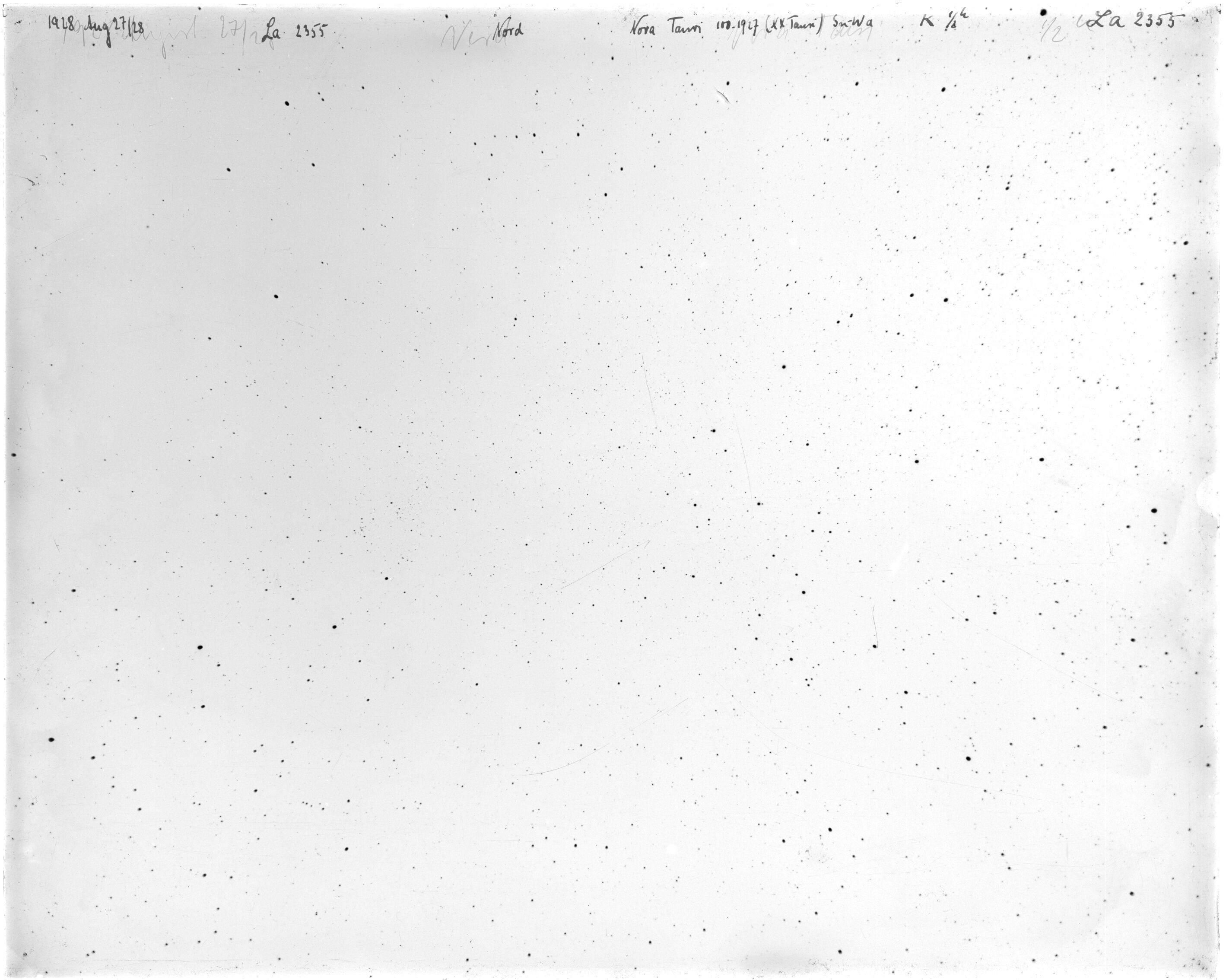 Scan LA02355