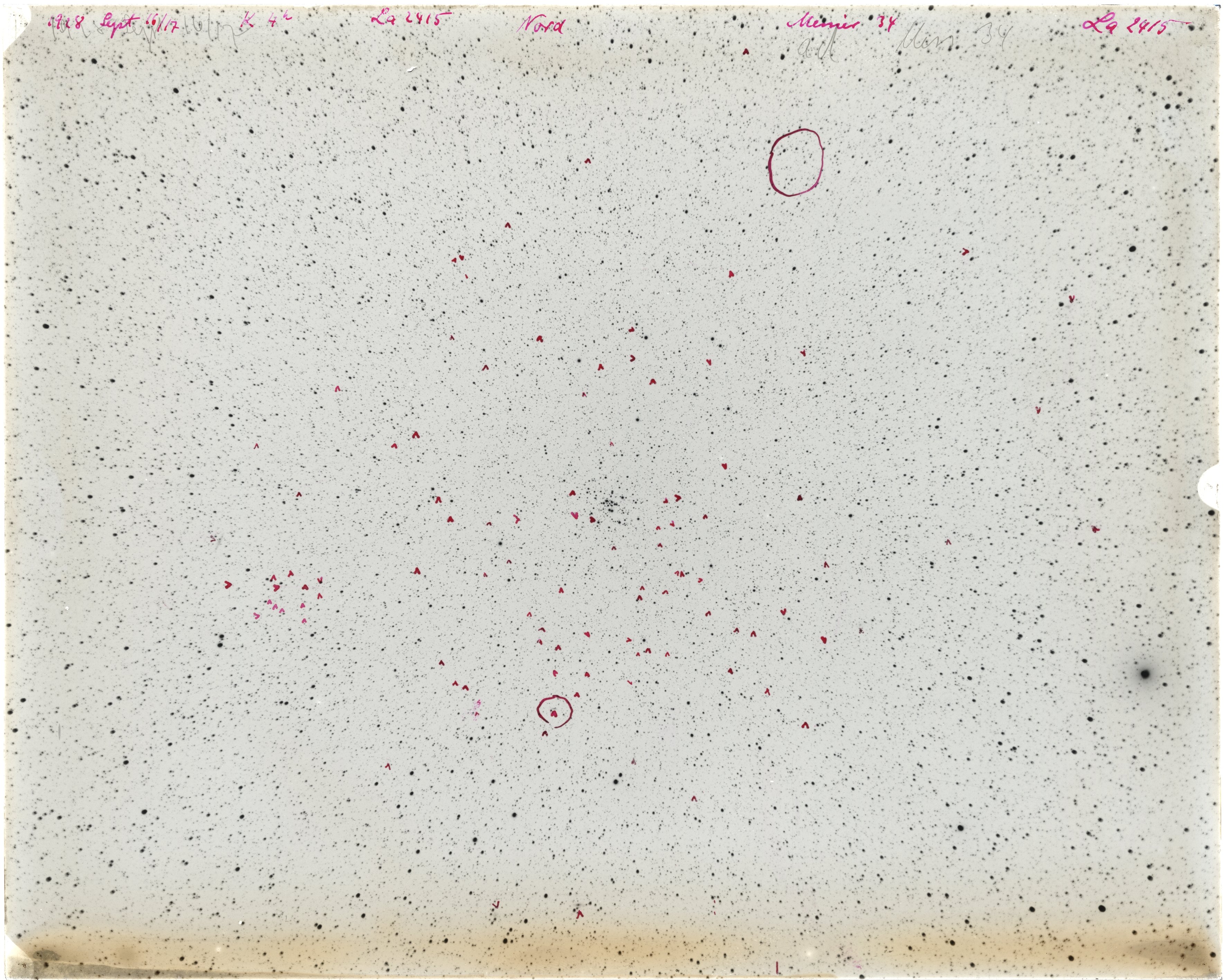 Scan LA02415
