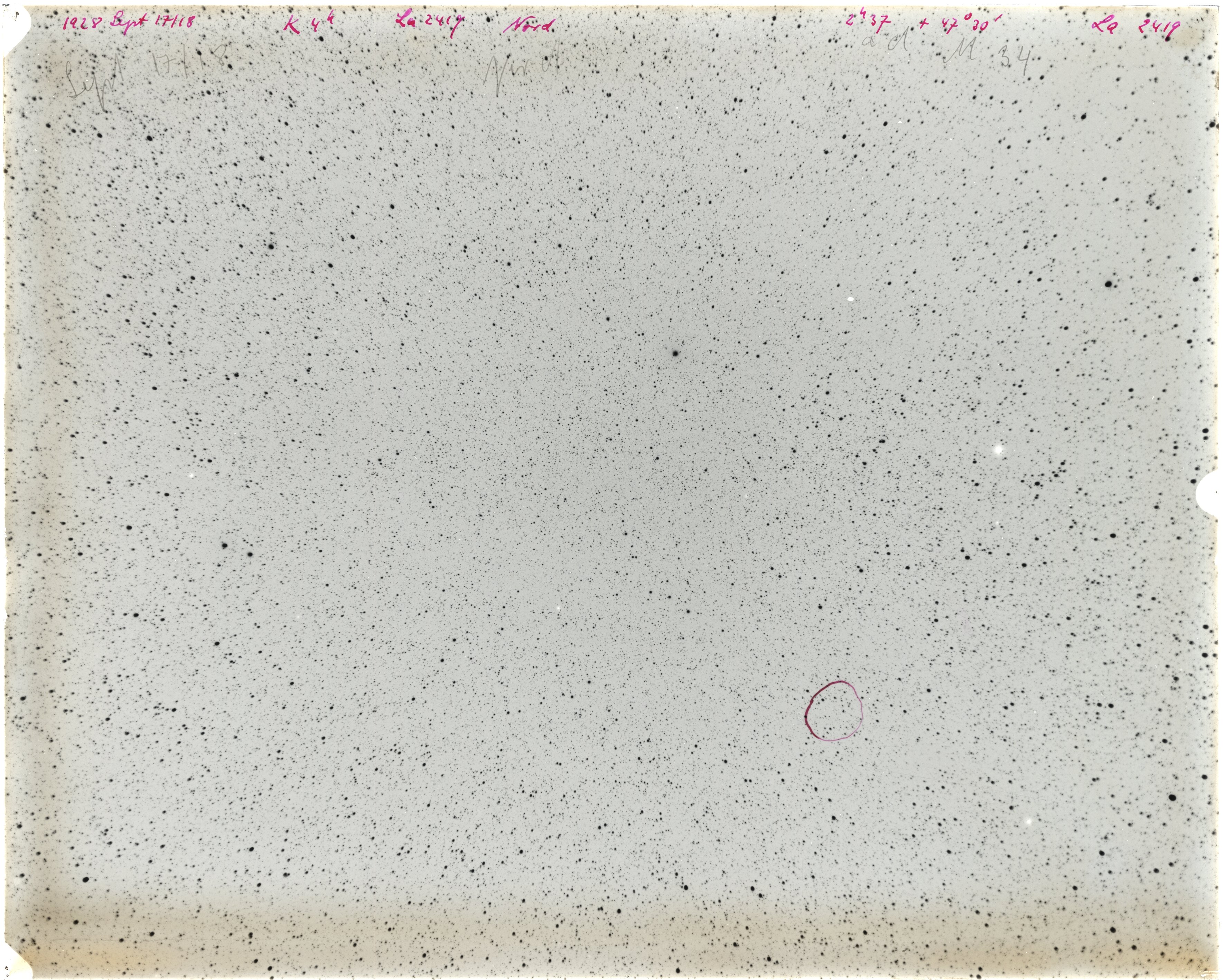 Scan LA02419