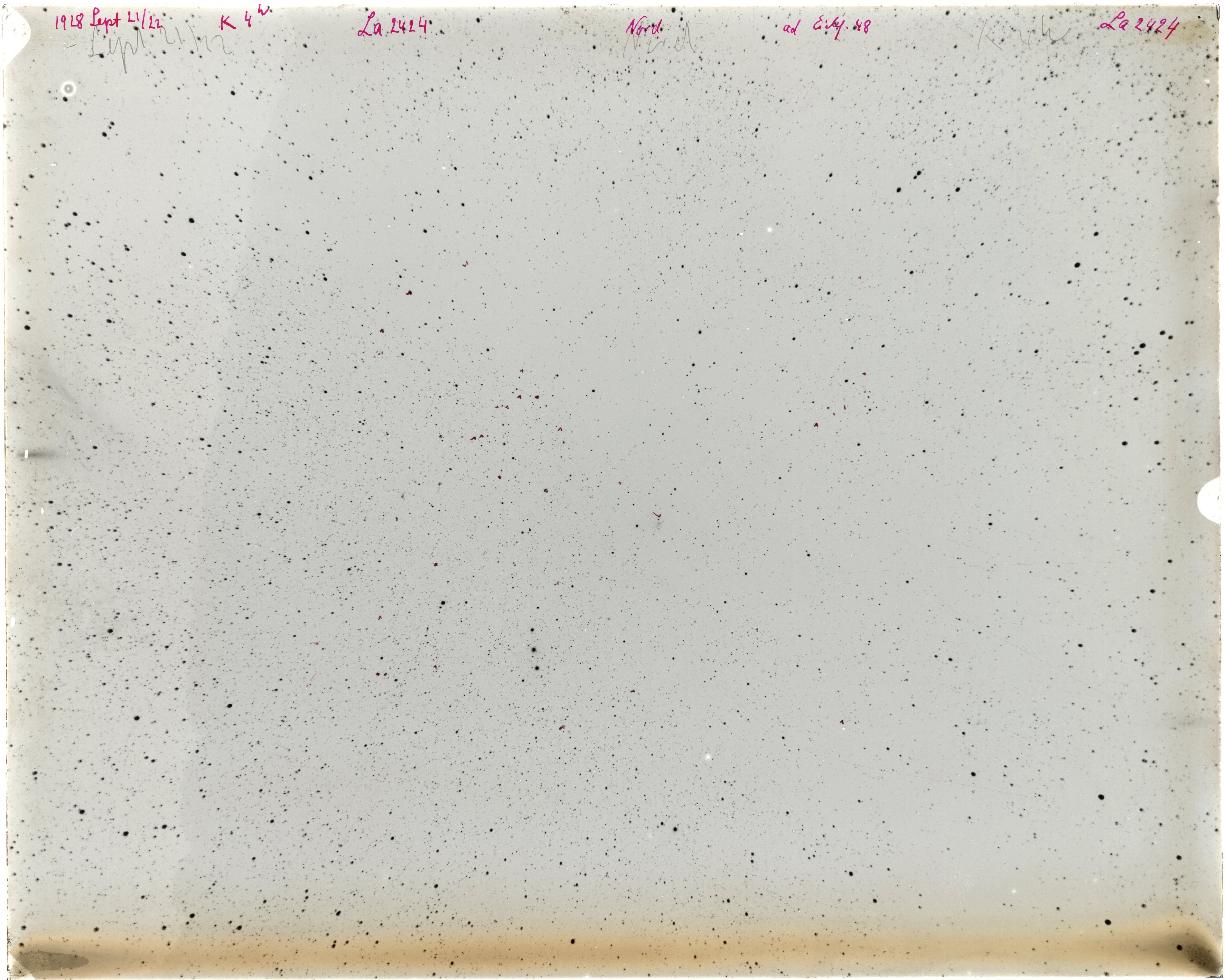Scan LA02424